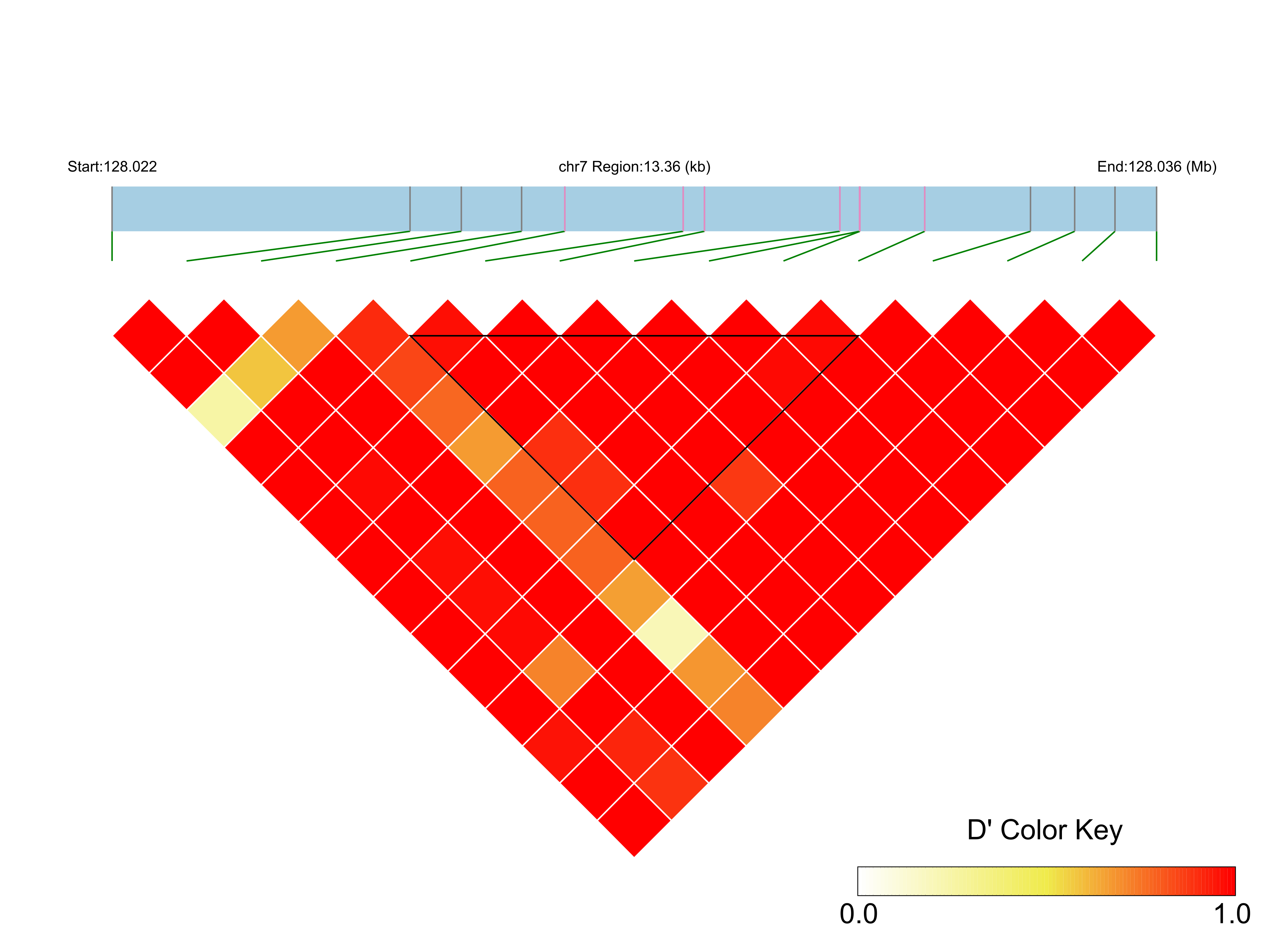 LD