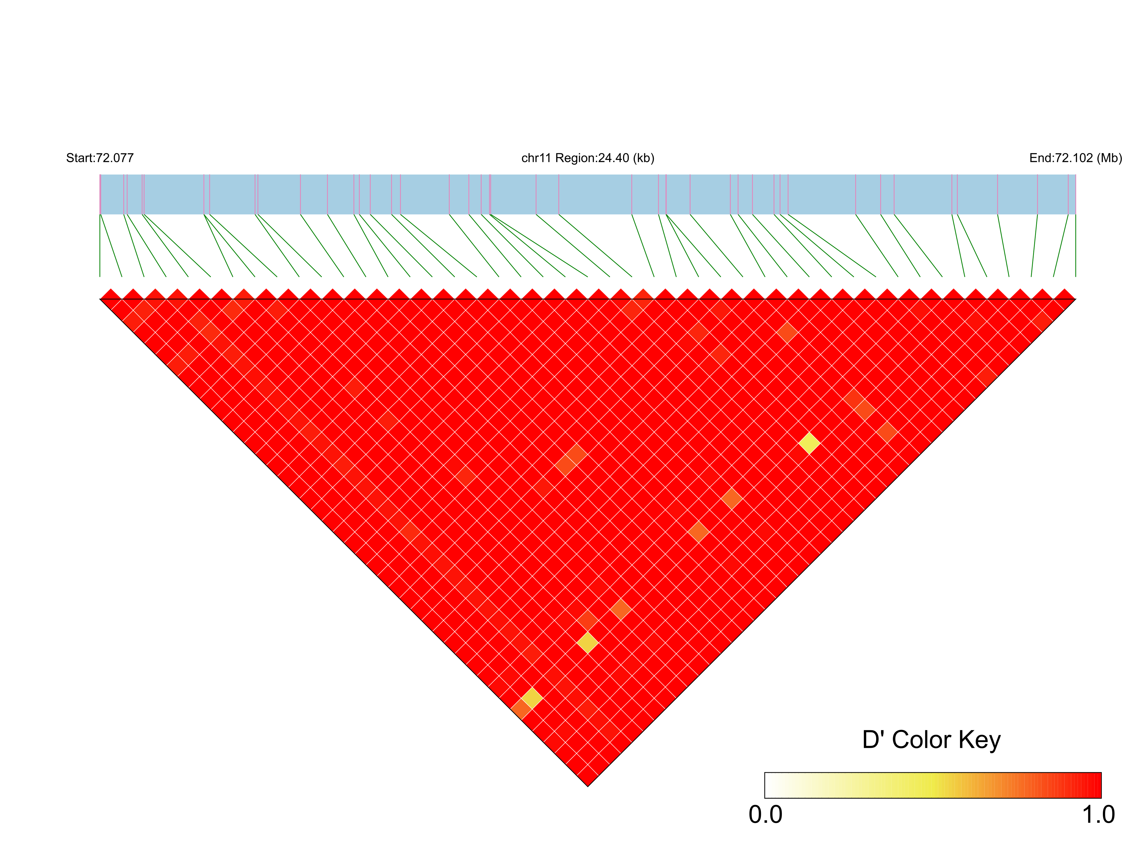 LD