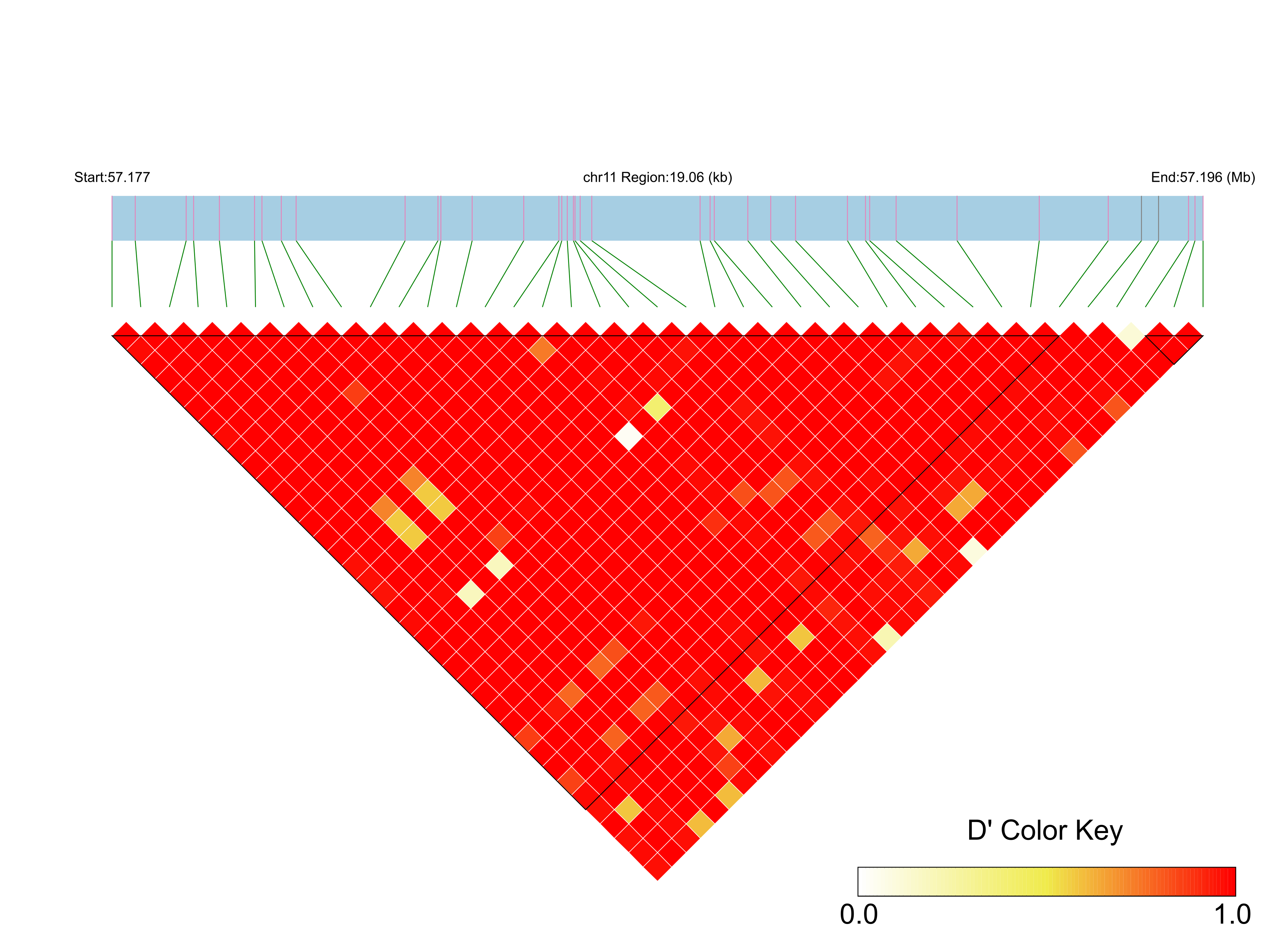 LD