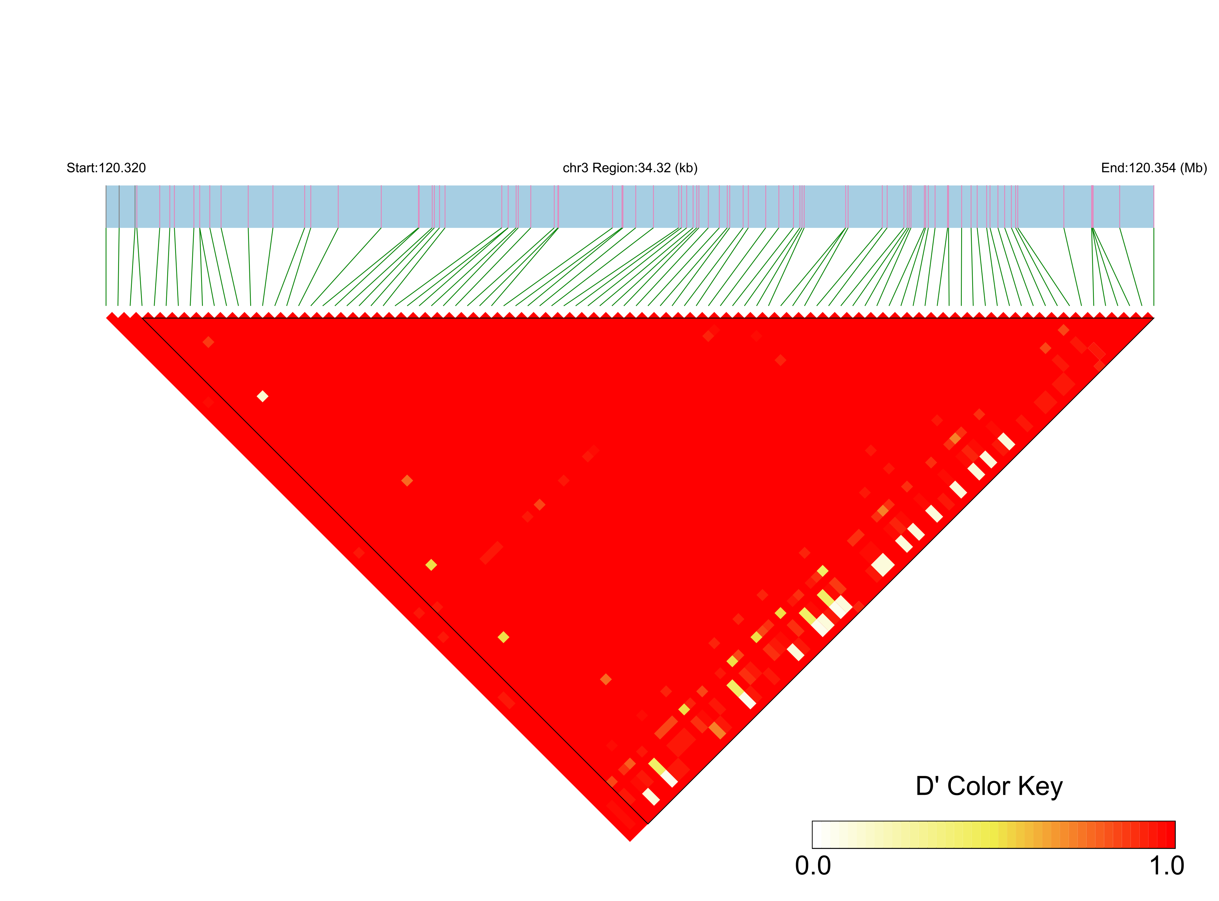 LD
