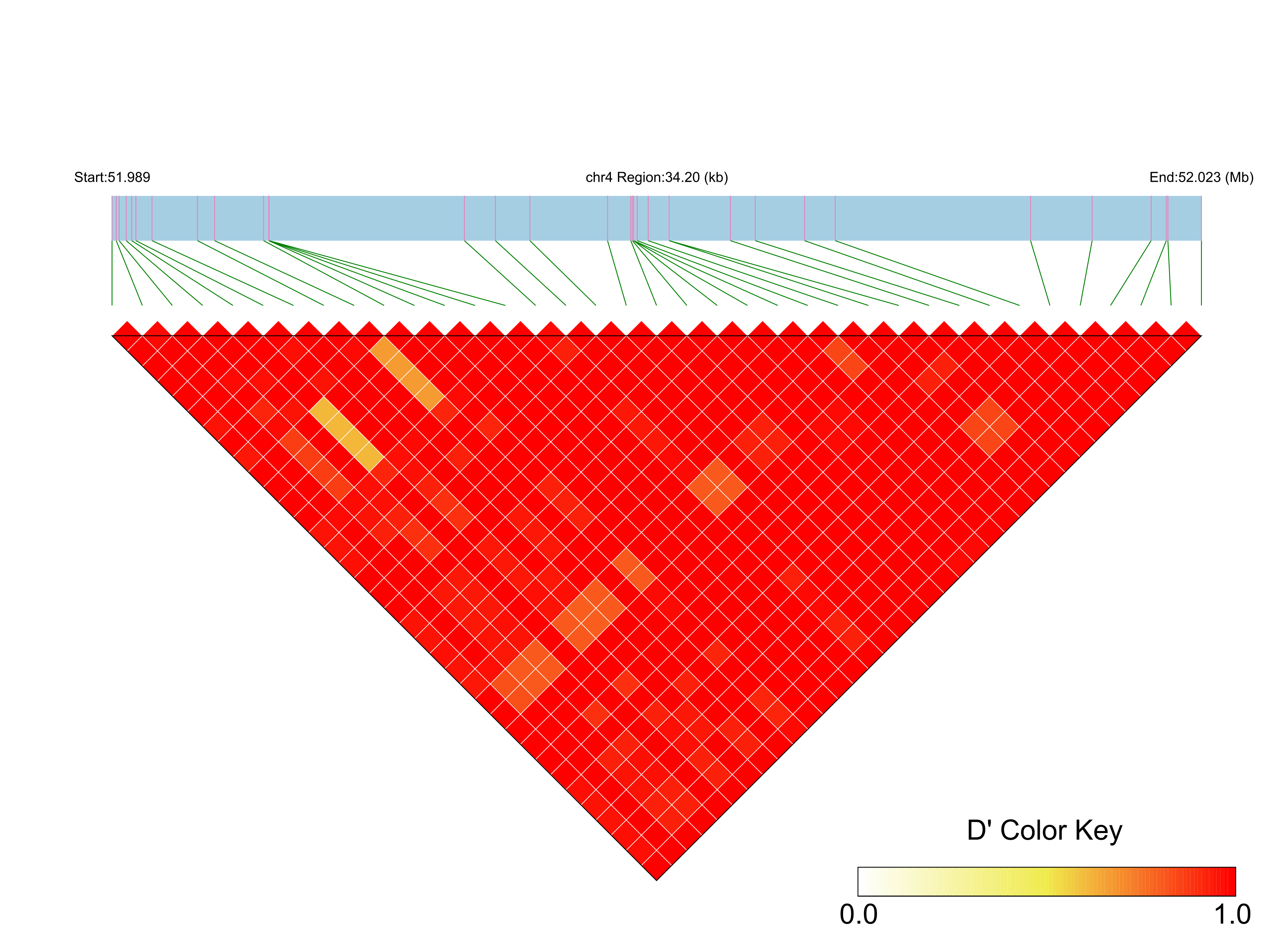 LD