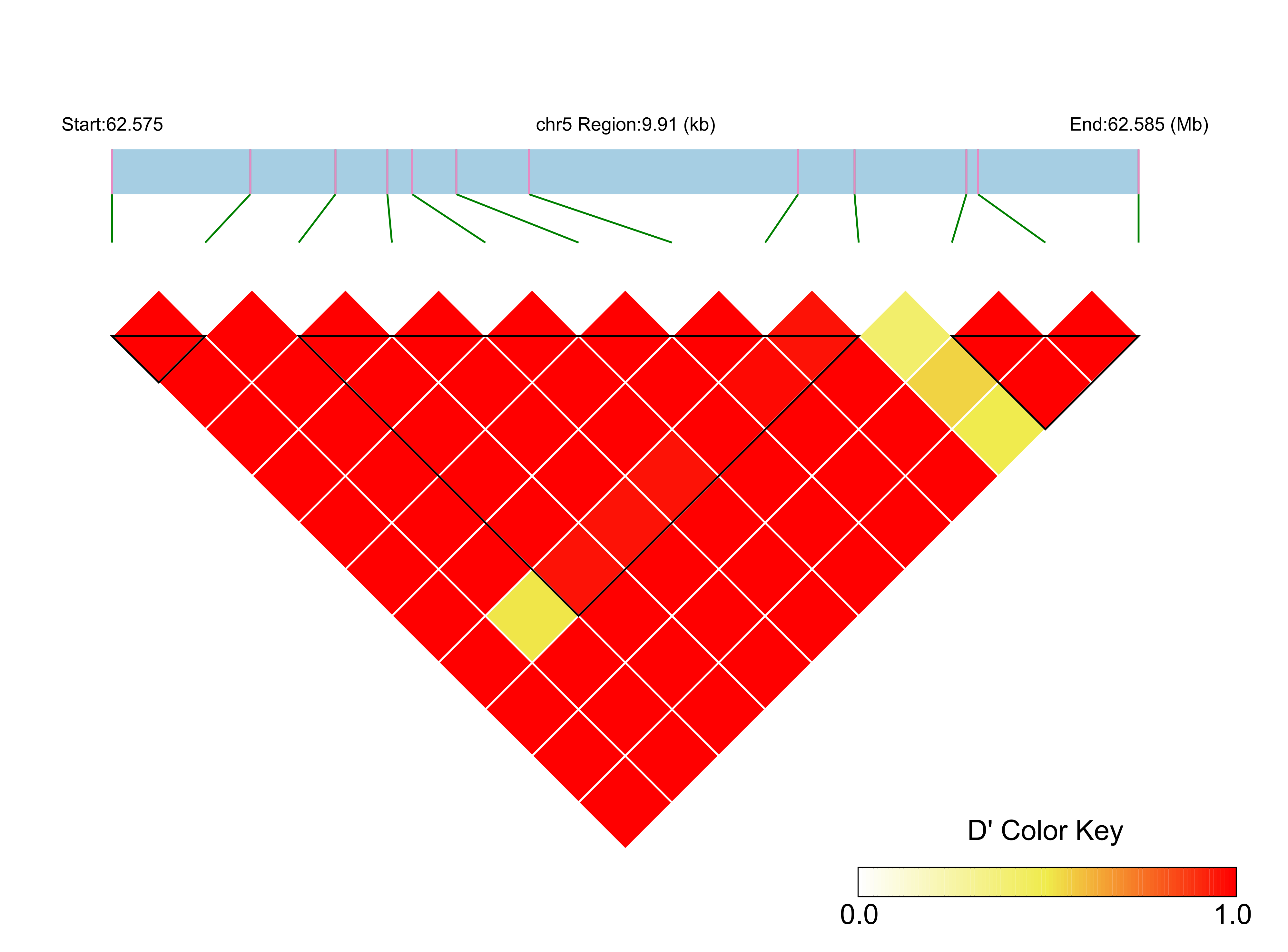 LD