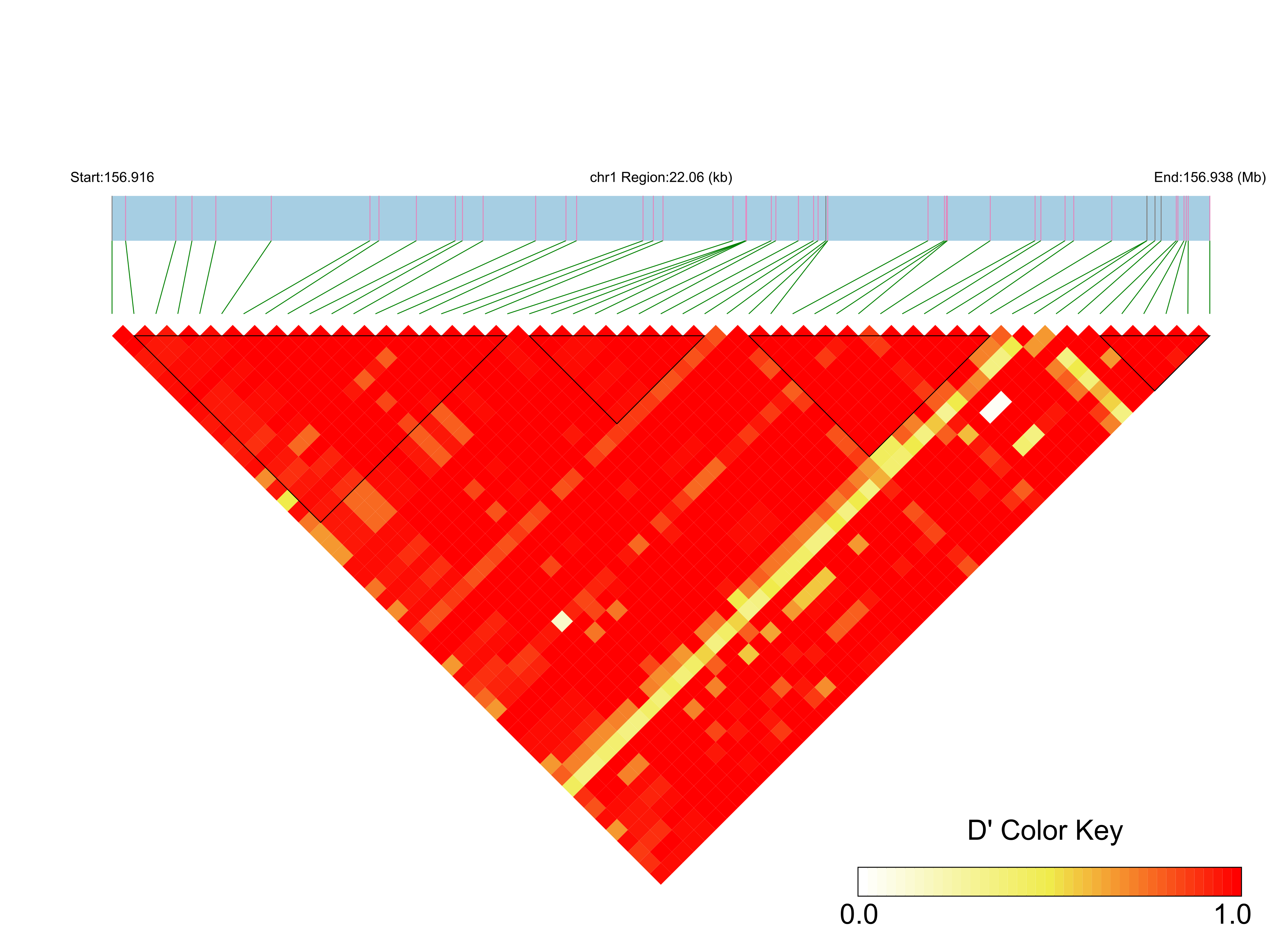 LD