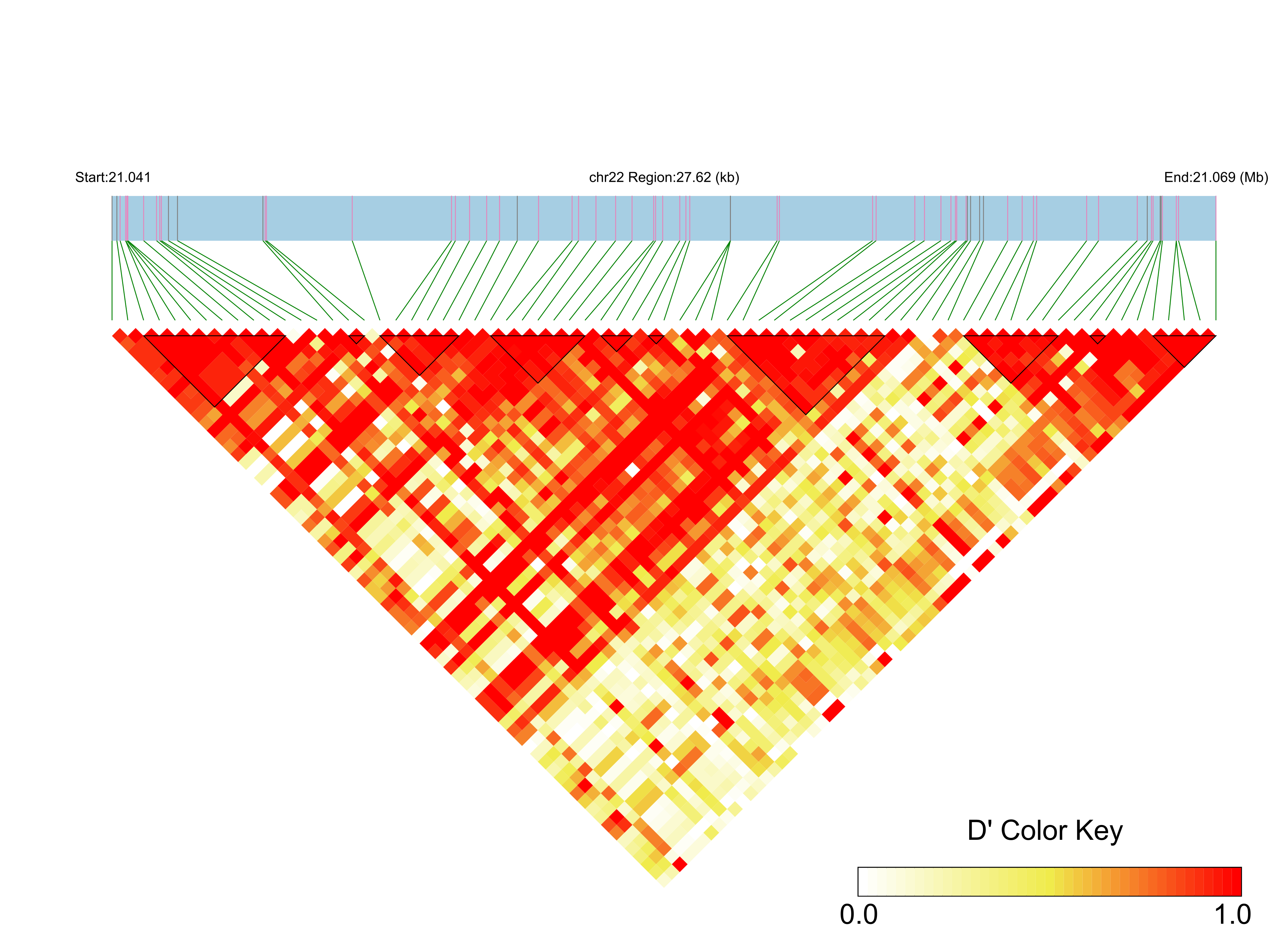 LD