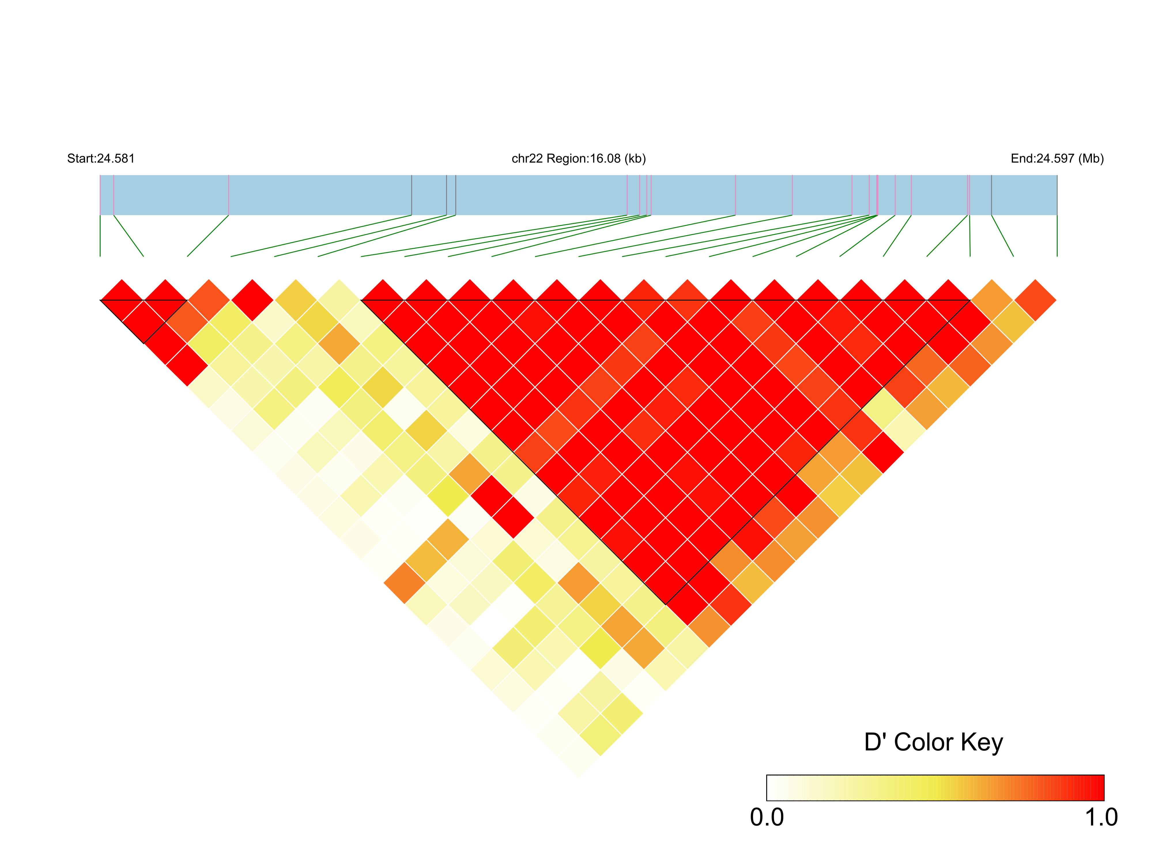 LD