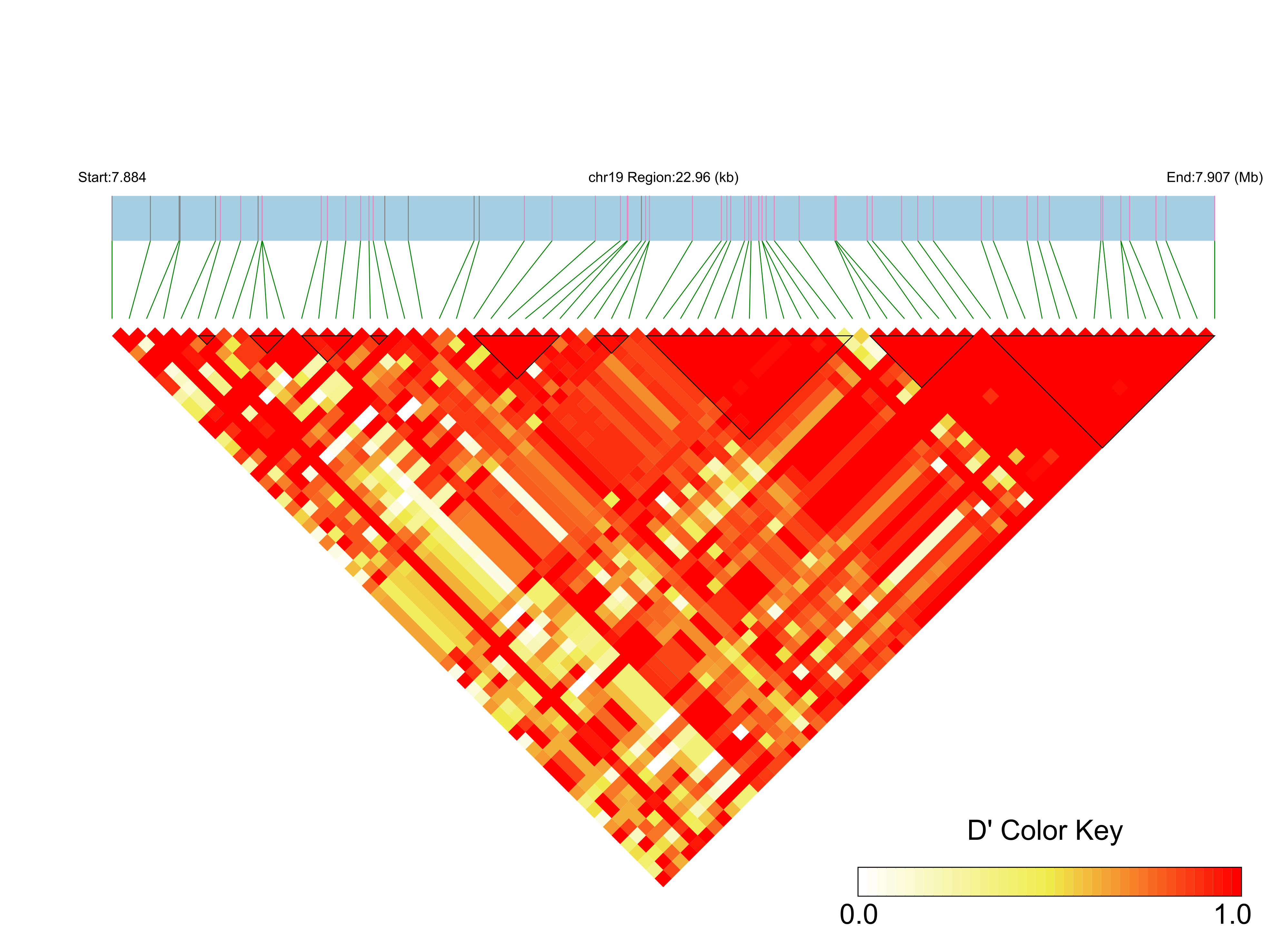 LD