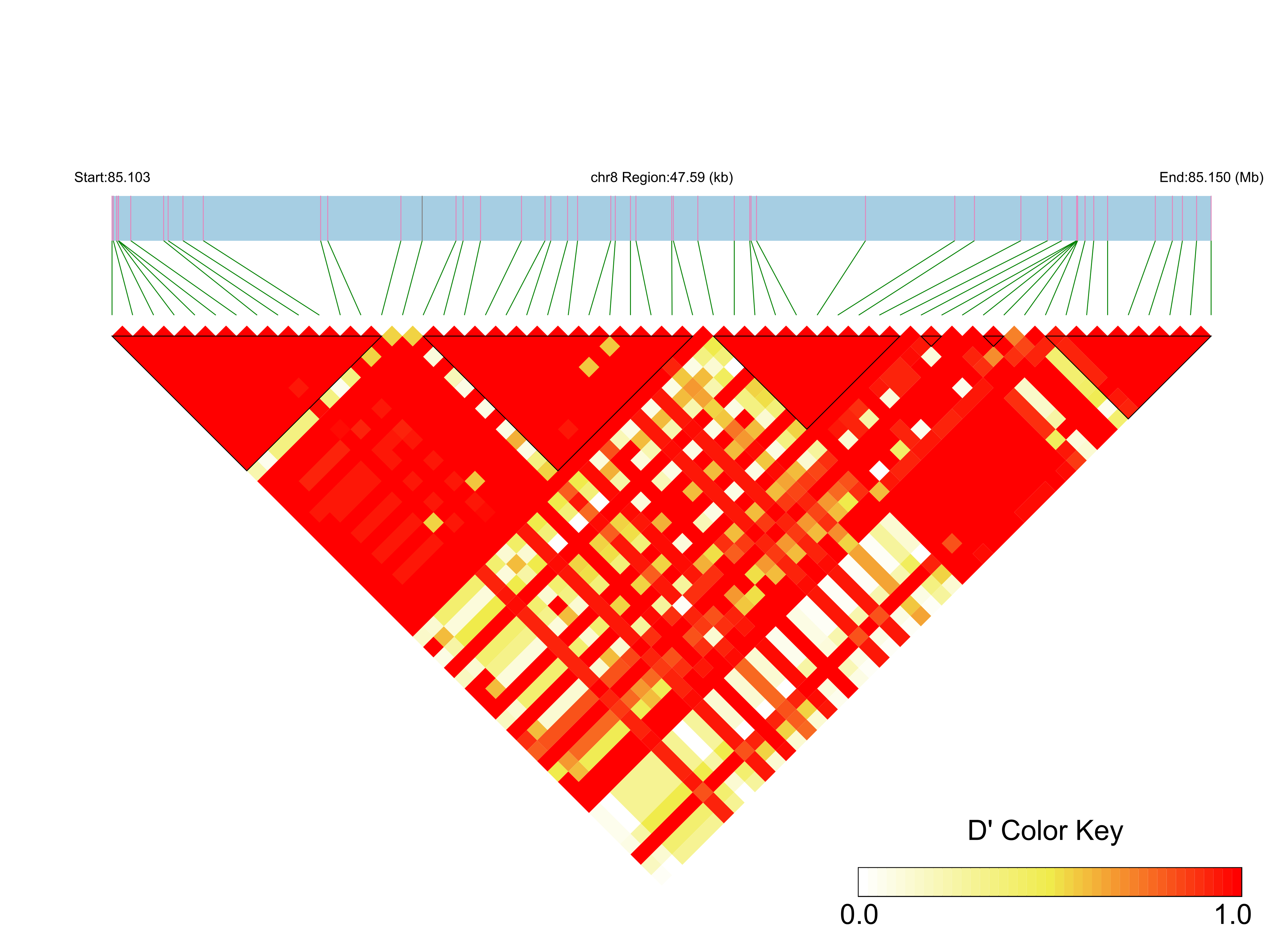 LD