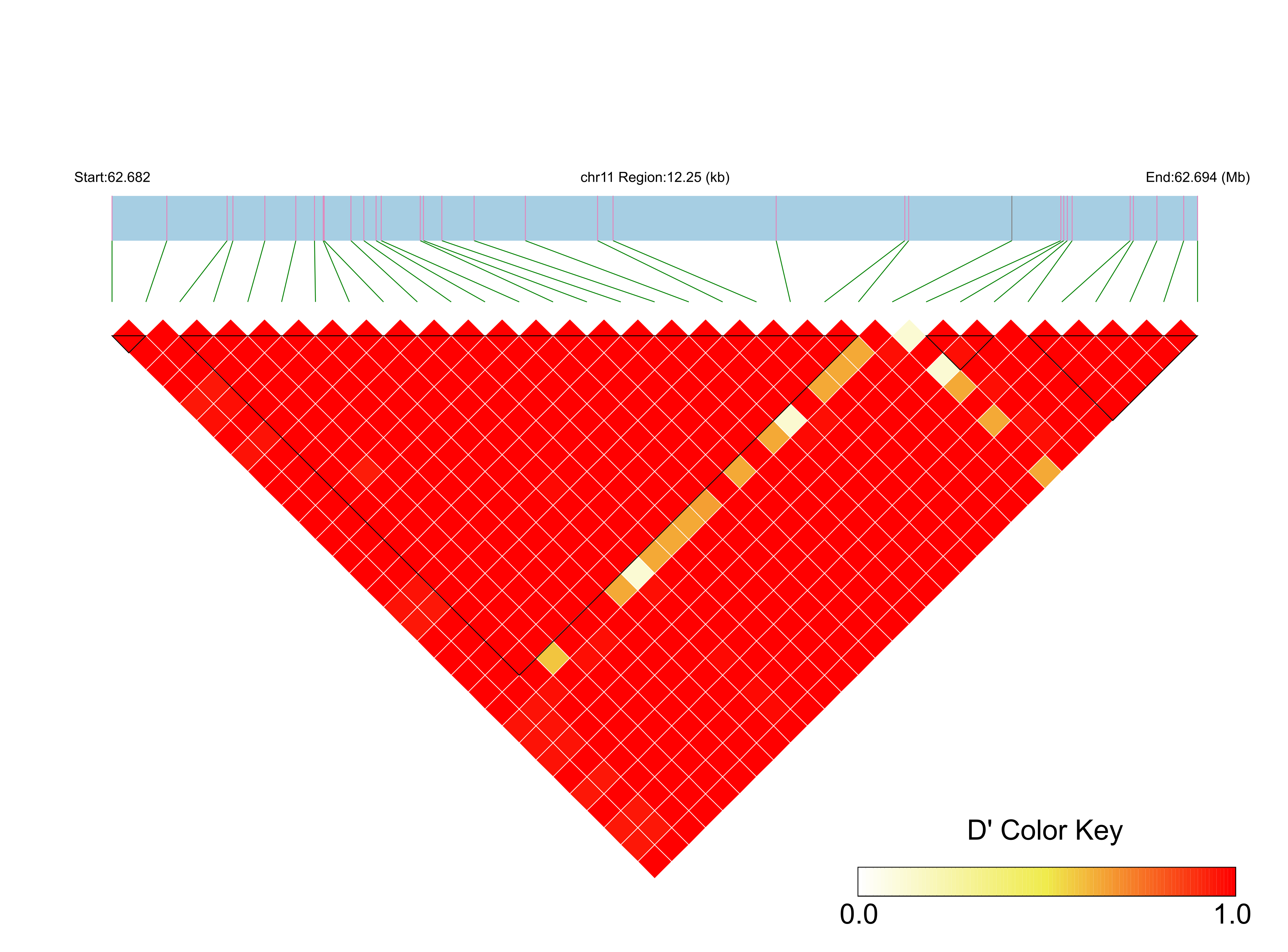 LD