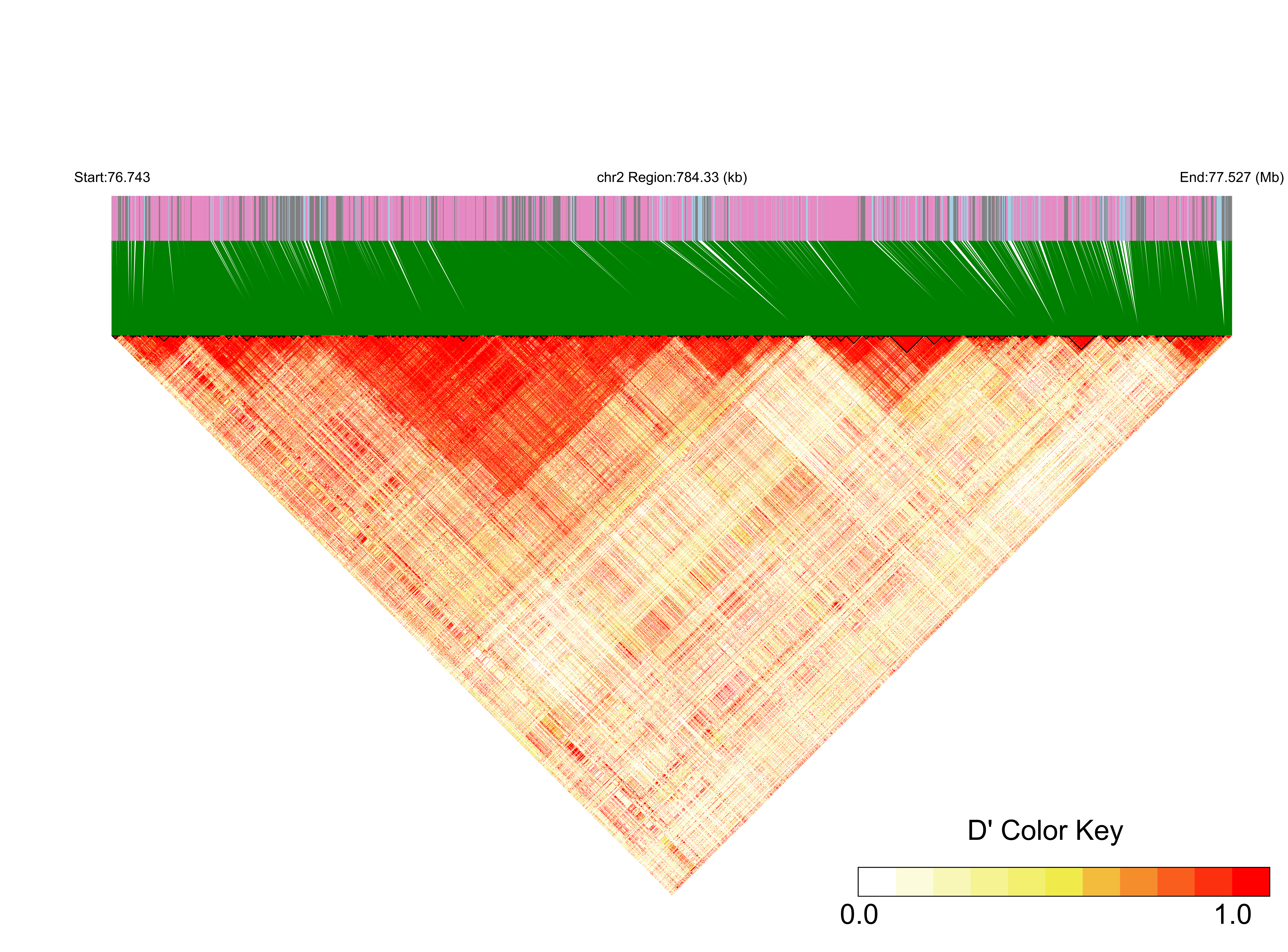 LD