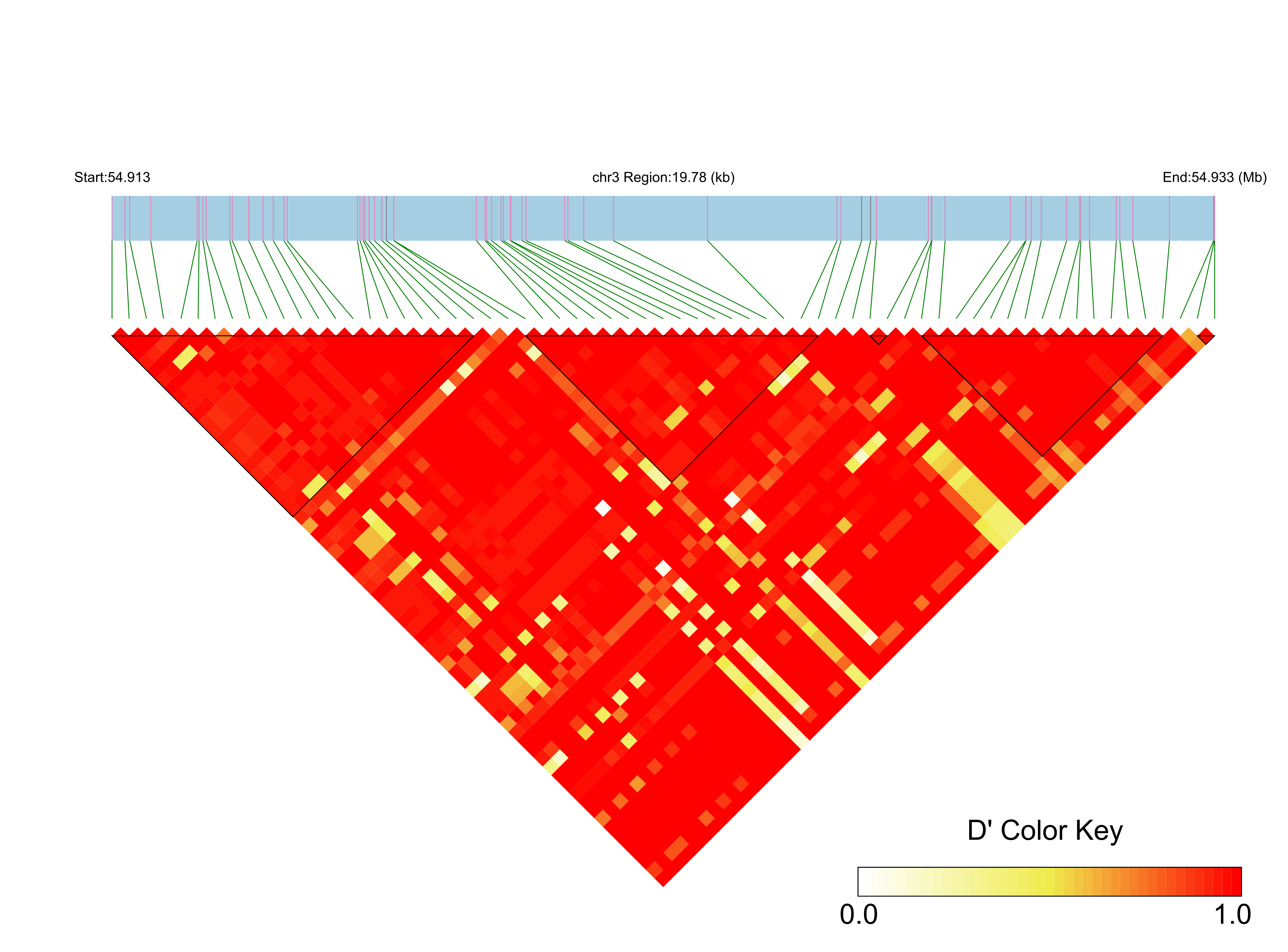 LD