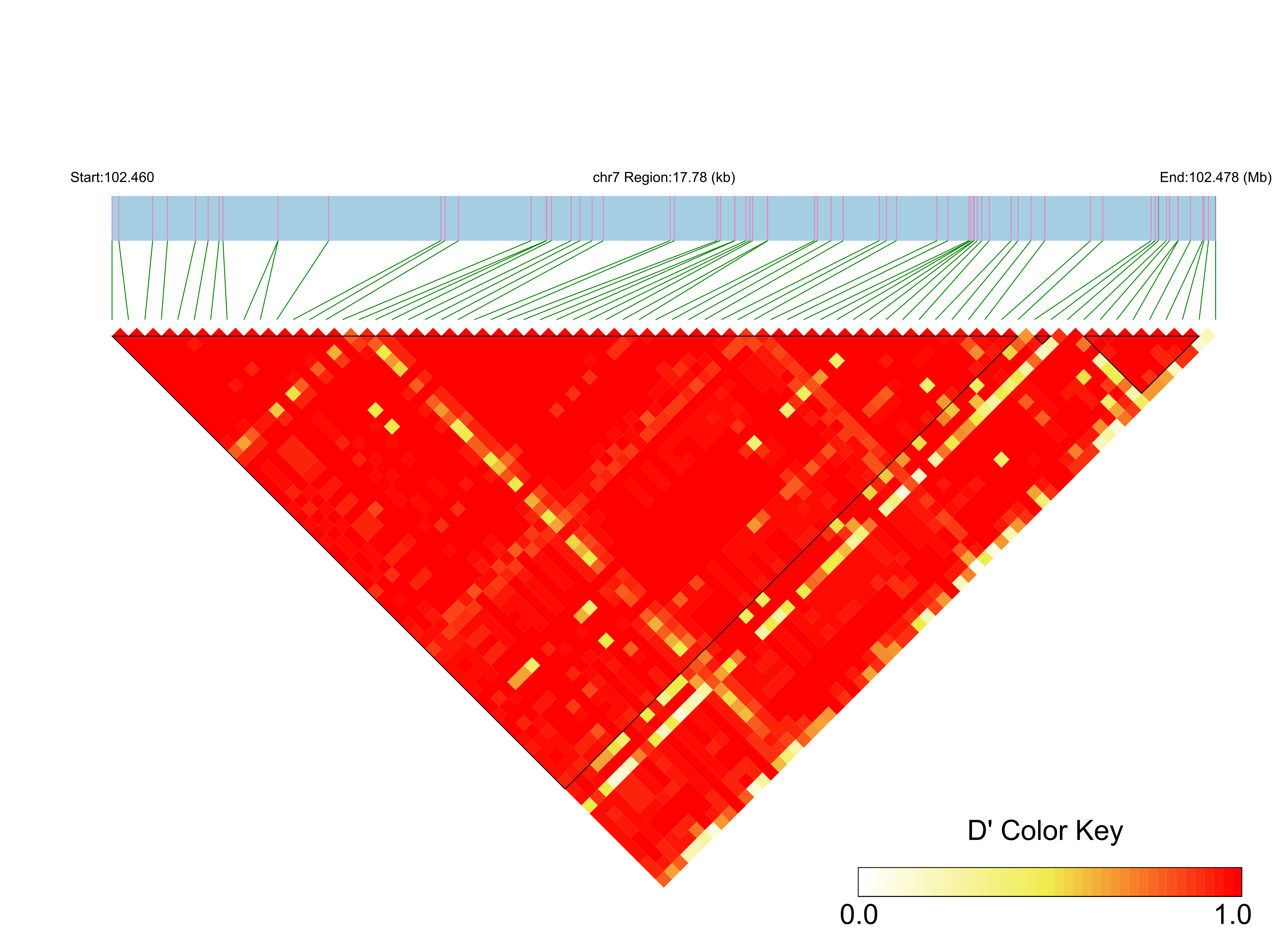 LD
