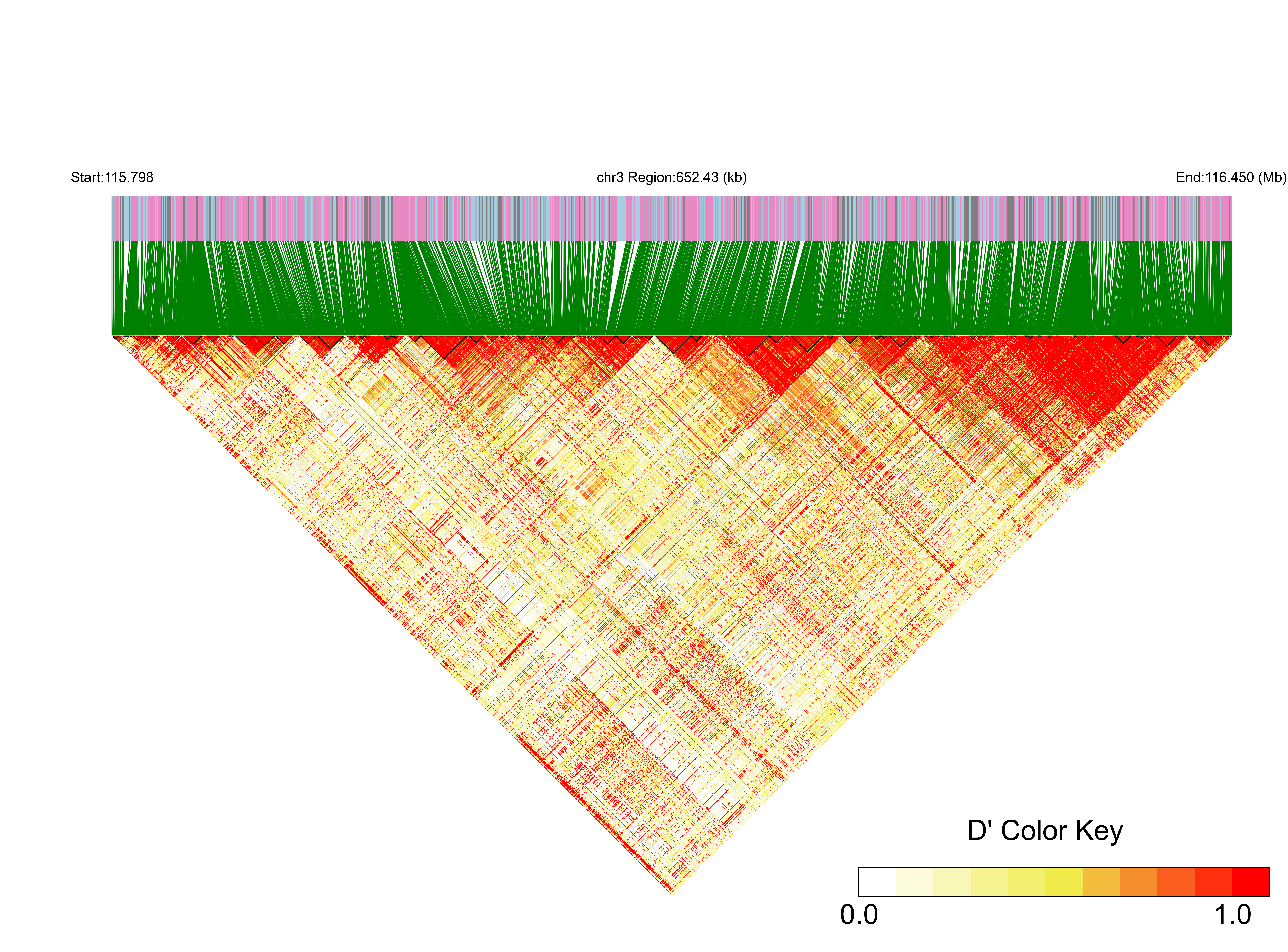 LD