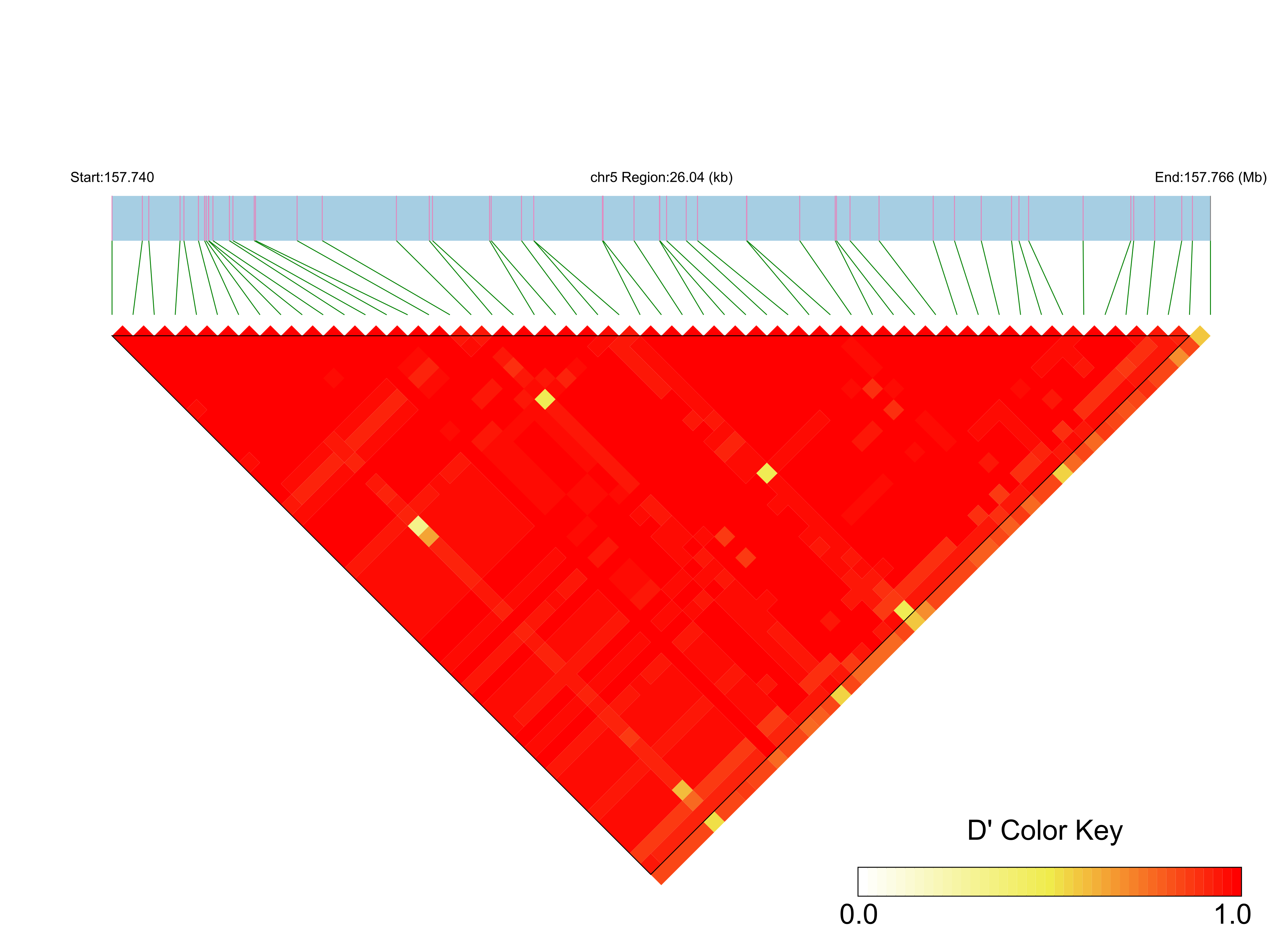 LD