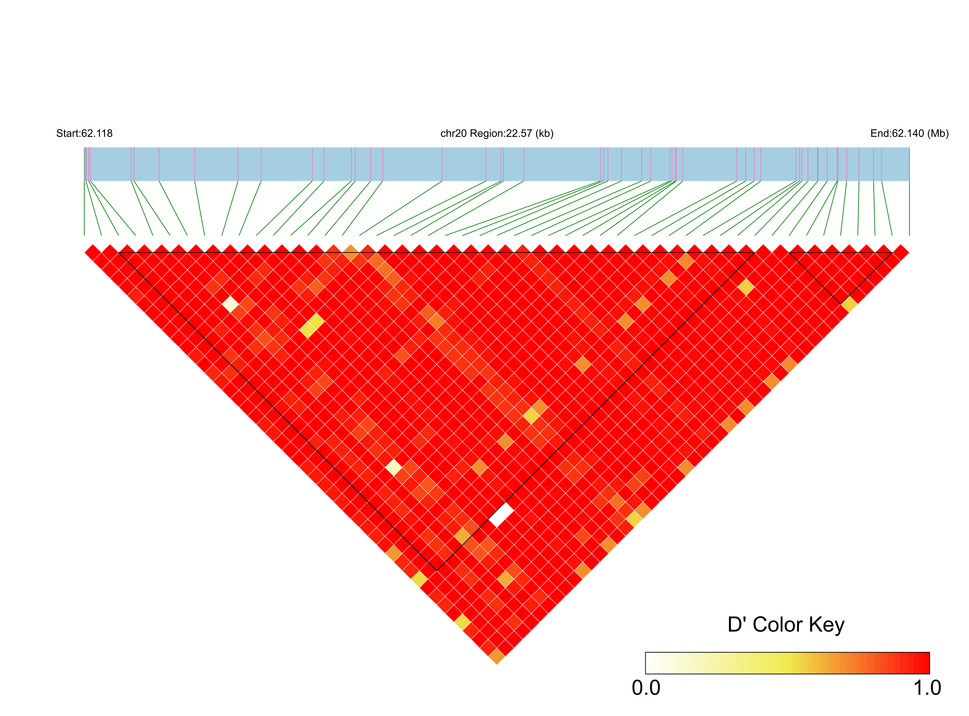 LD