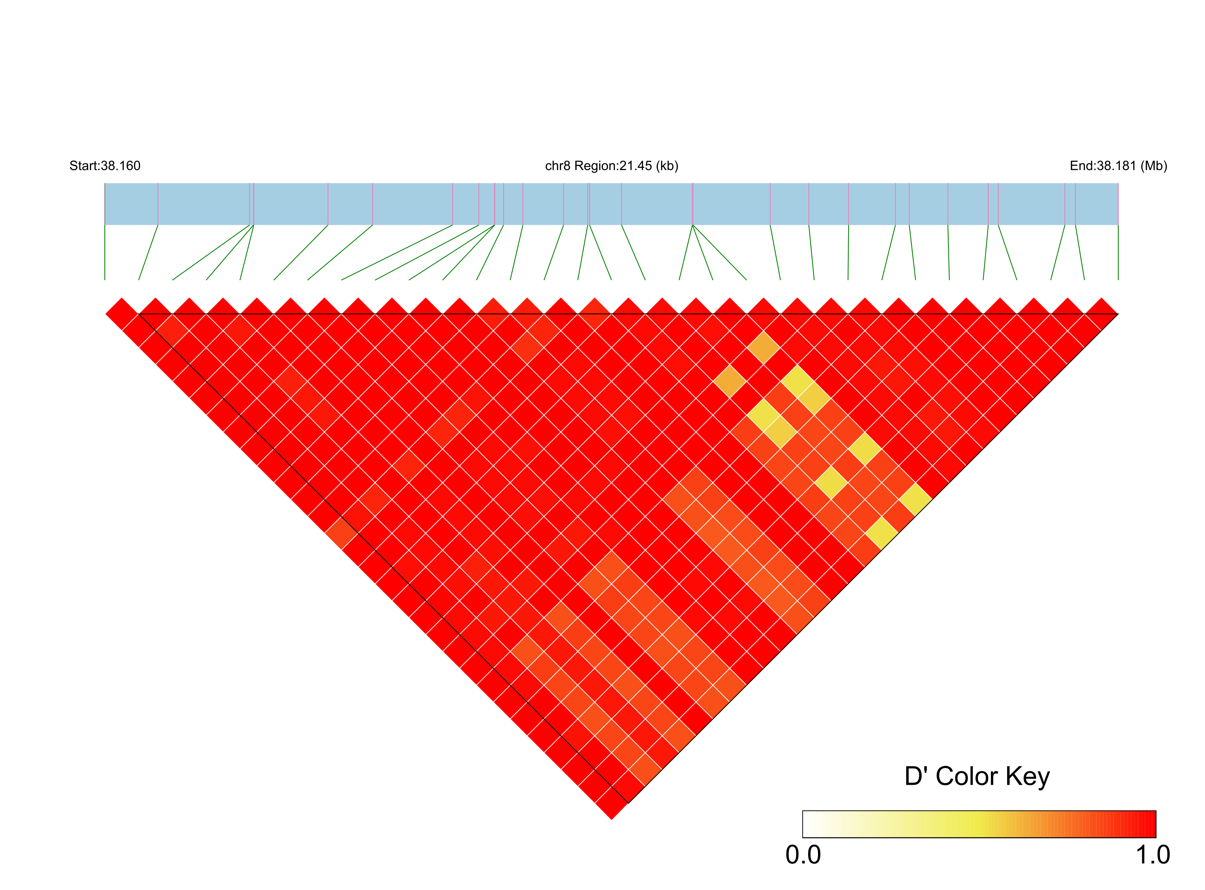 LD