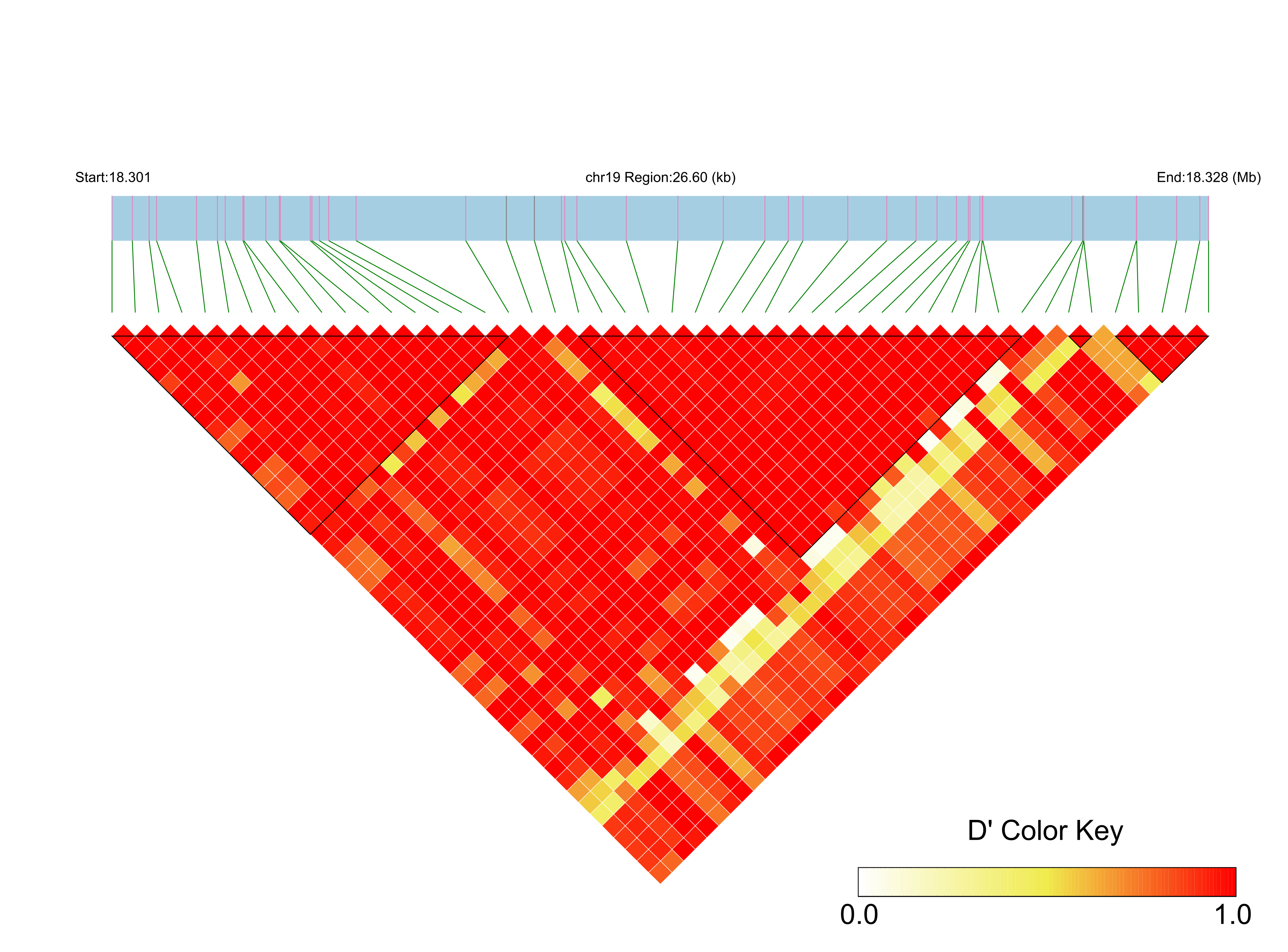 LD
