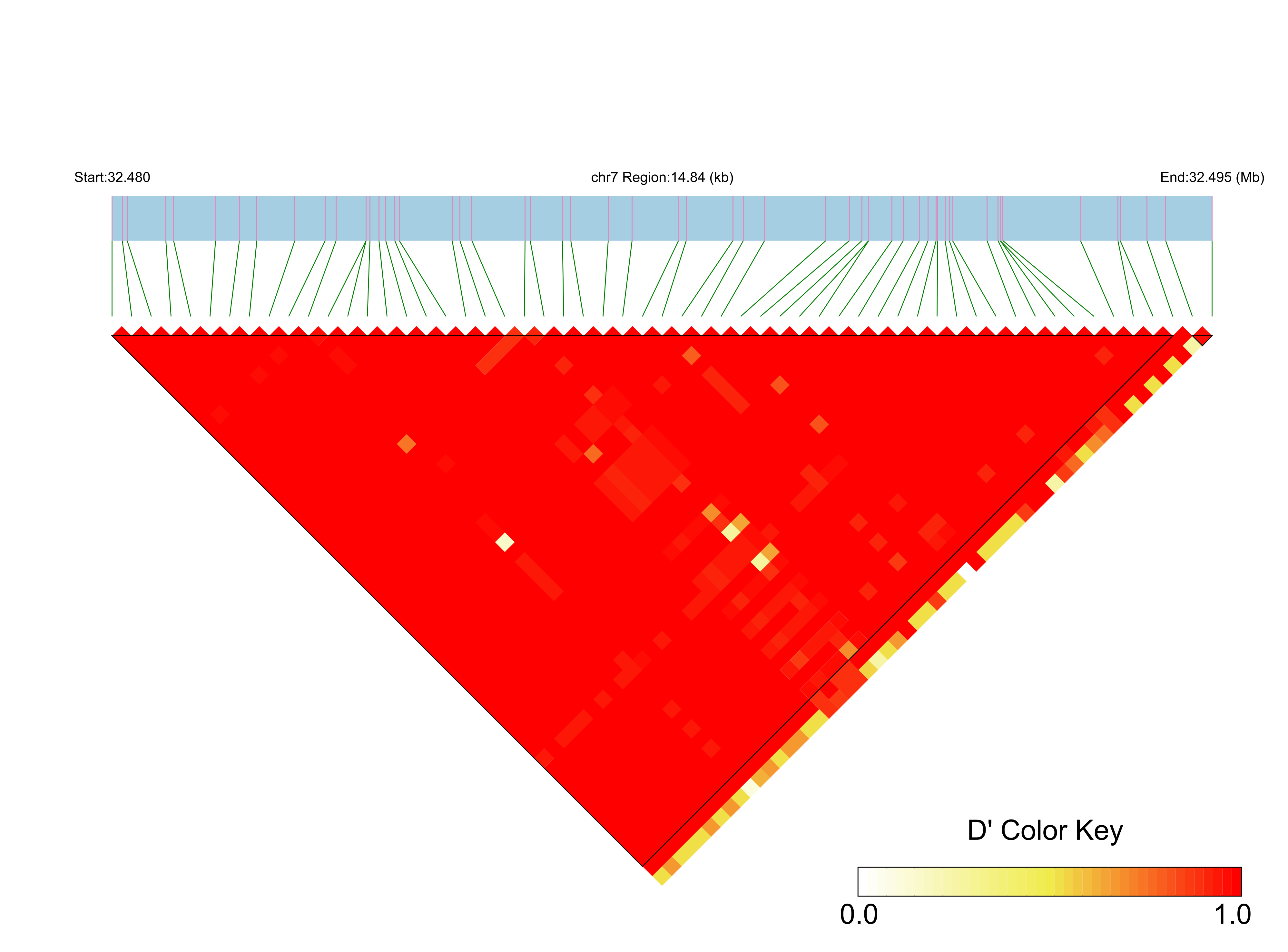 LD