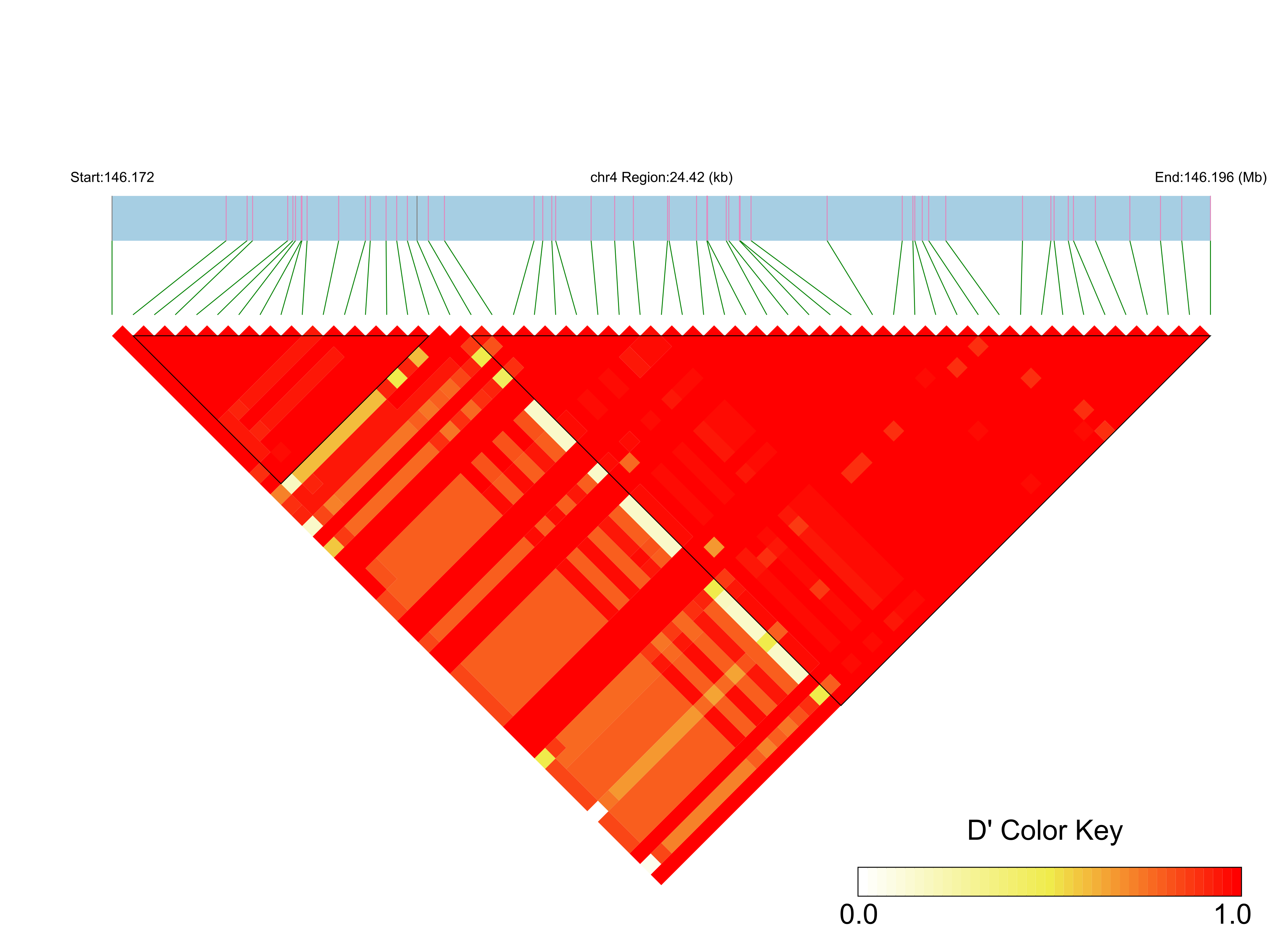 LD