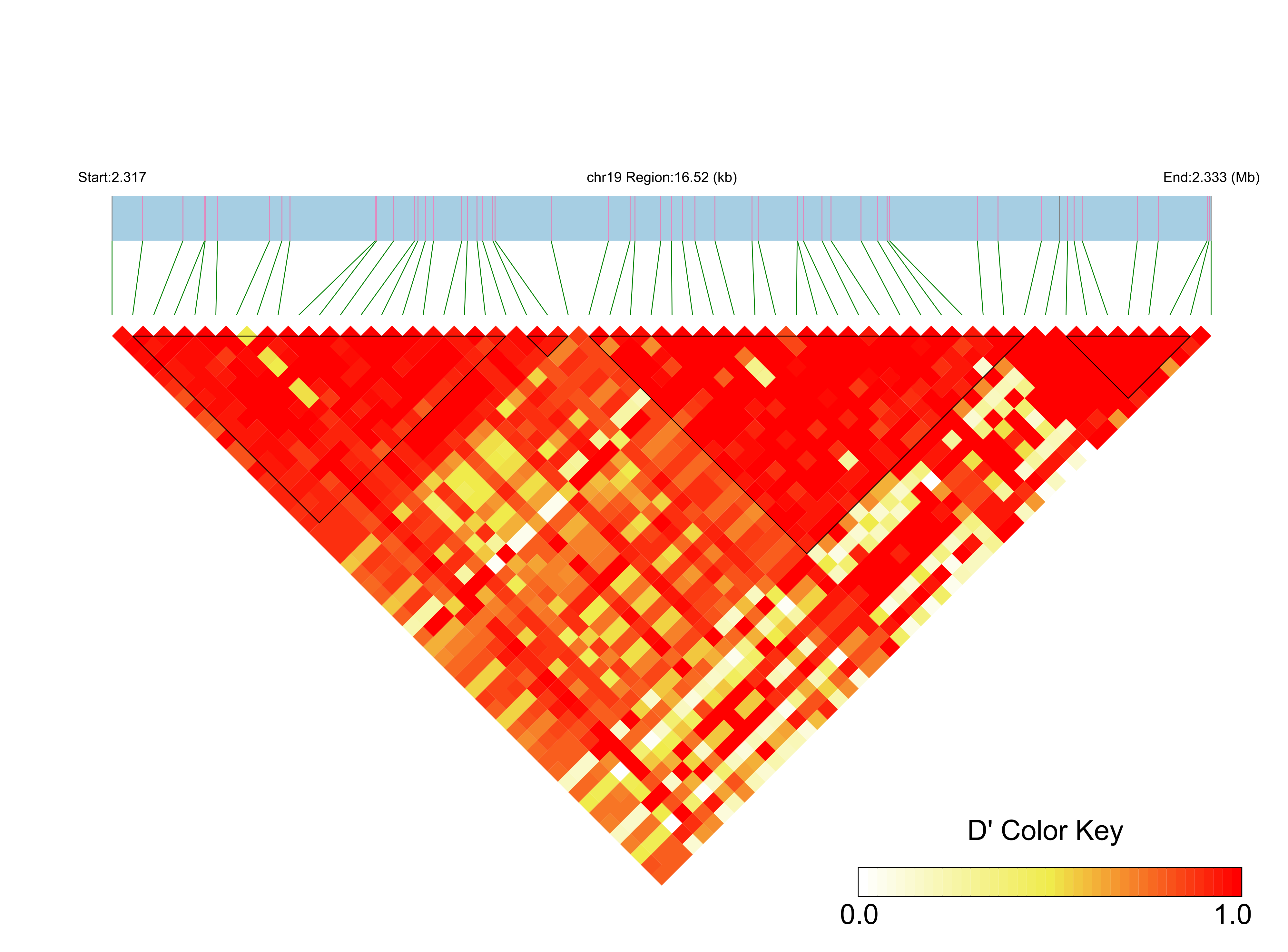LD