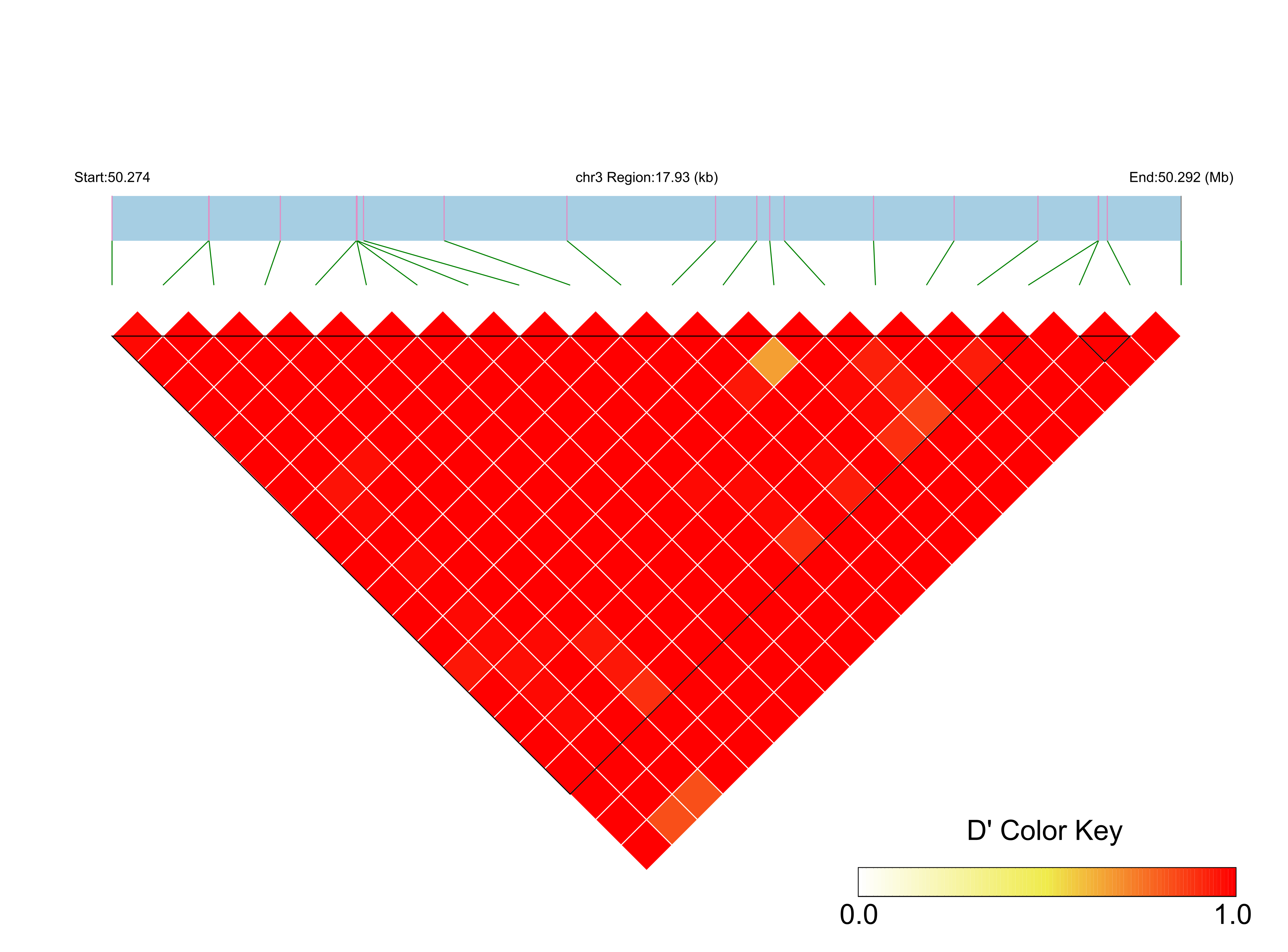 LD
