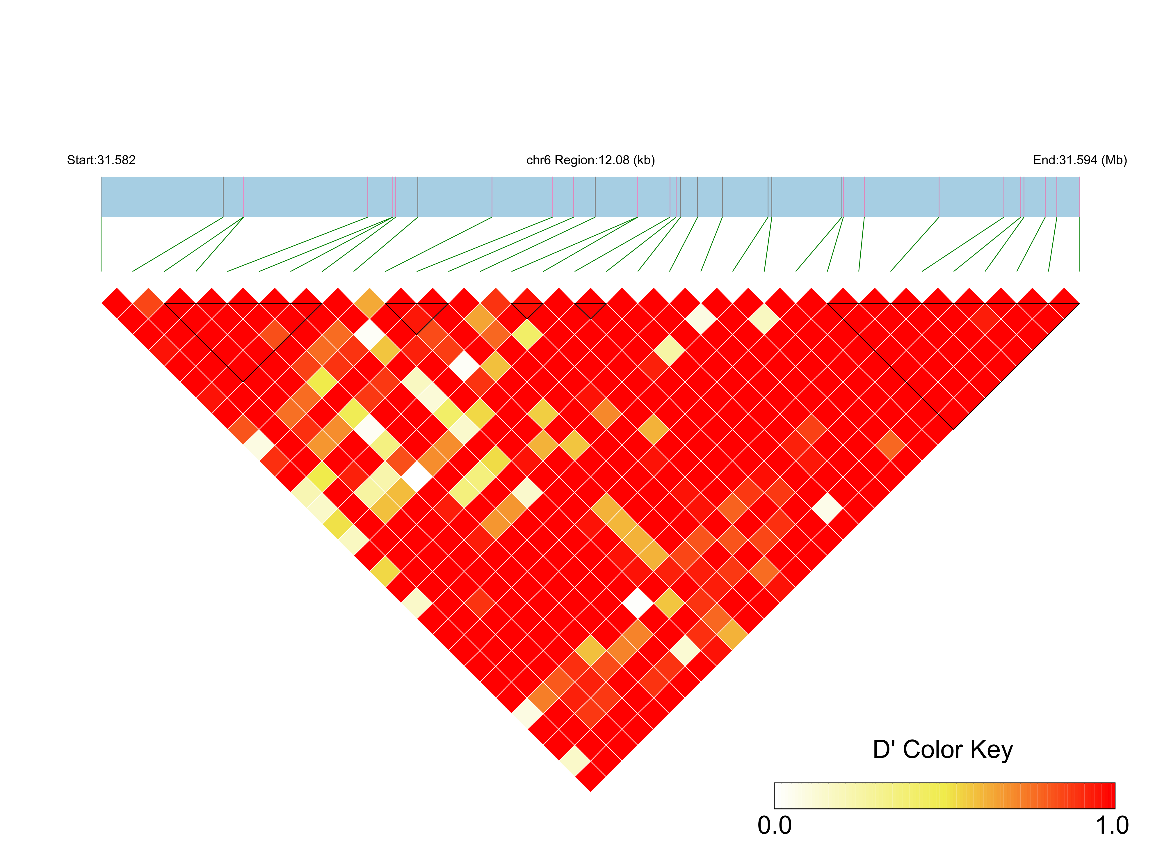 LD