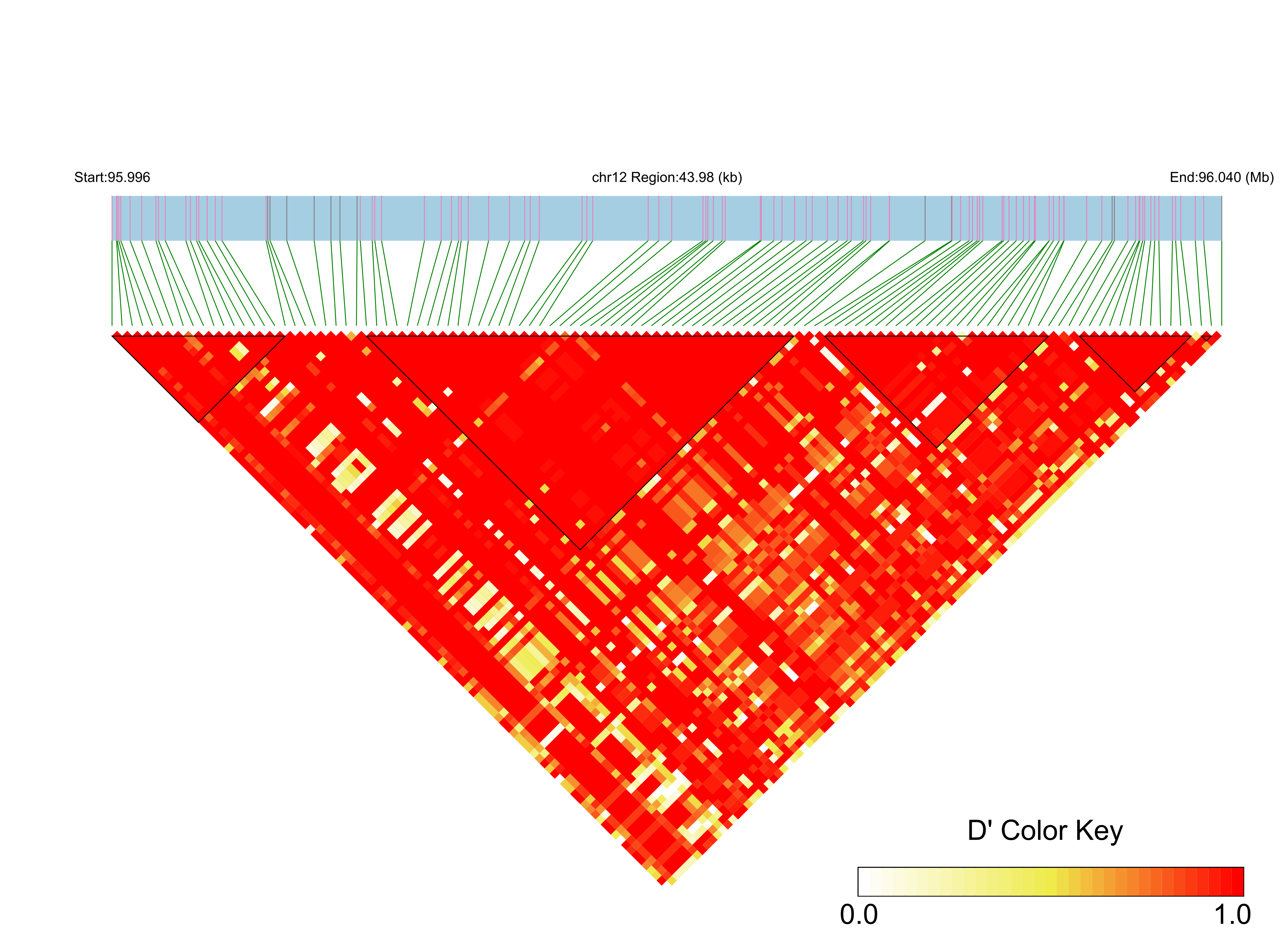 LD