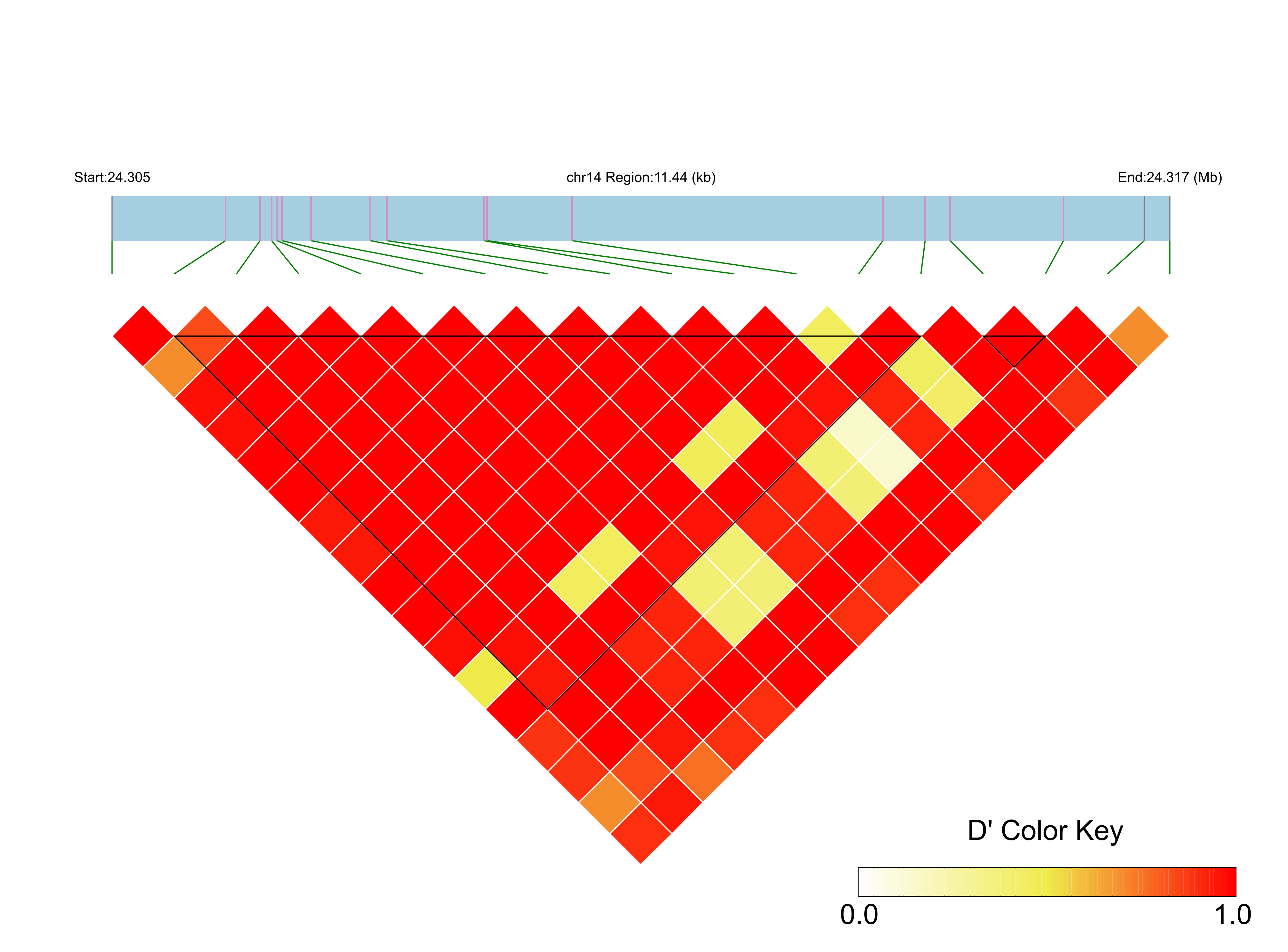LD