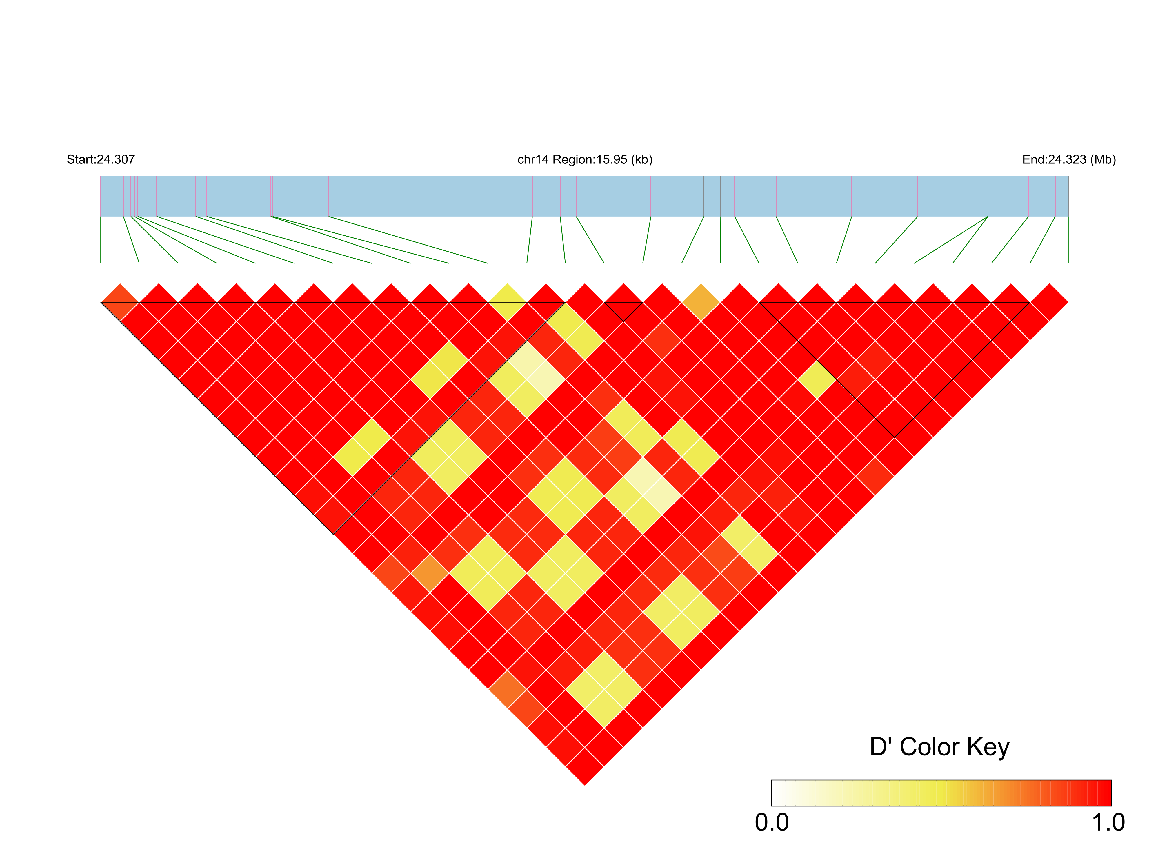 LD