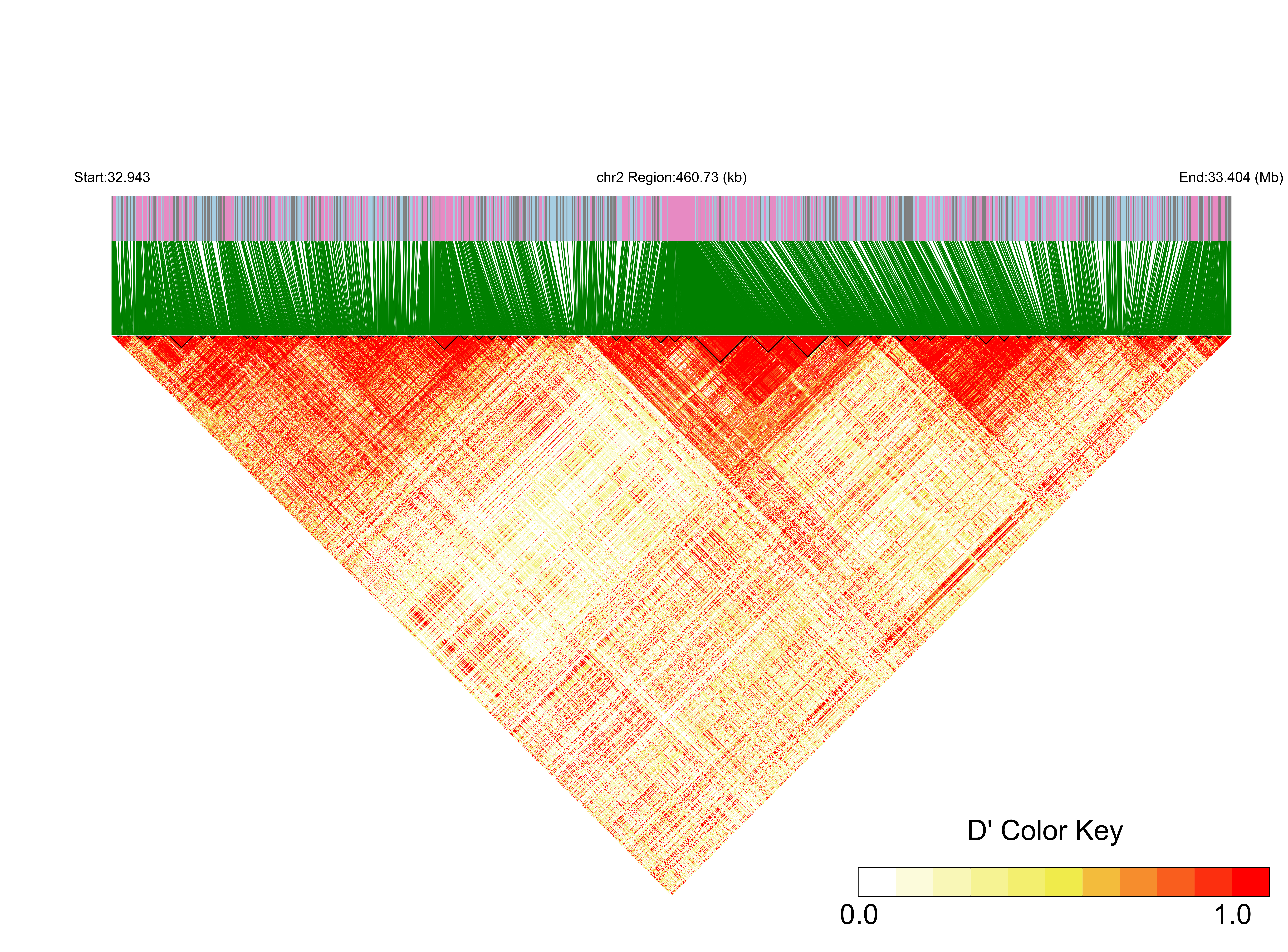 LD