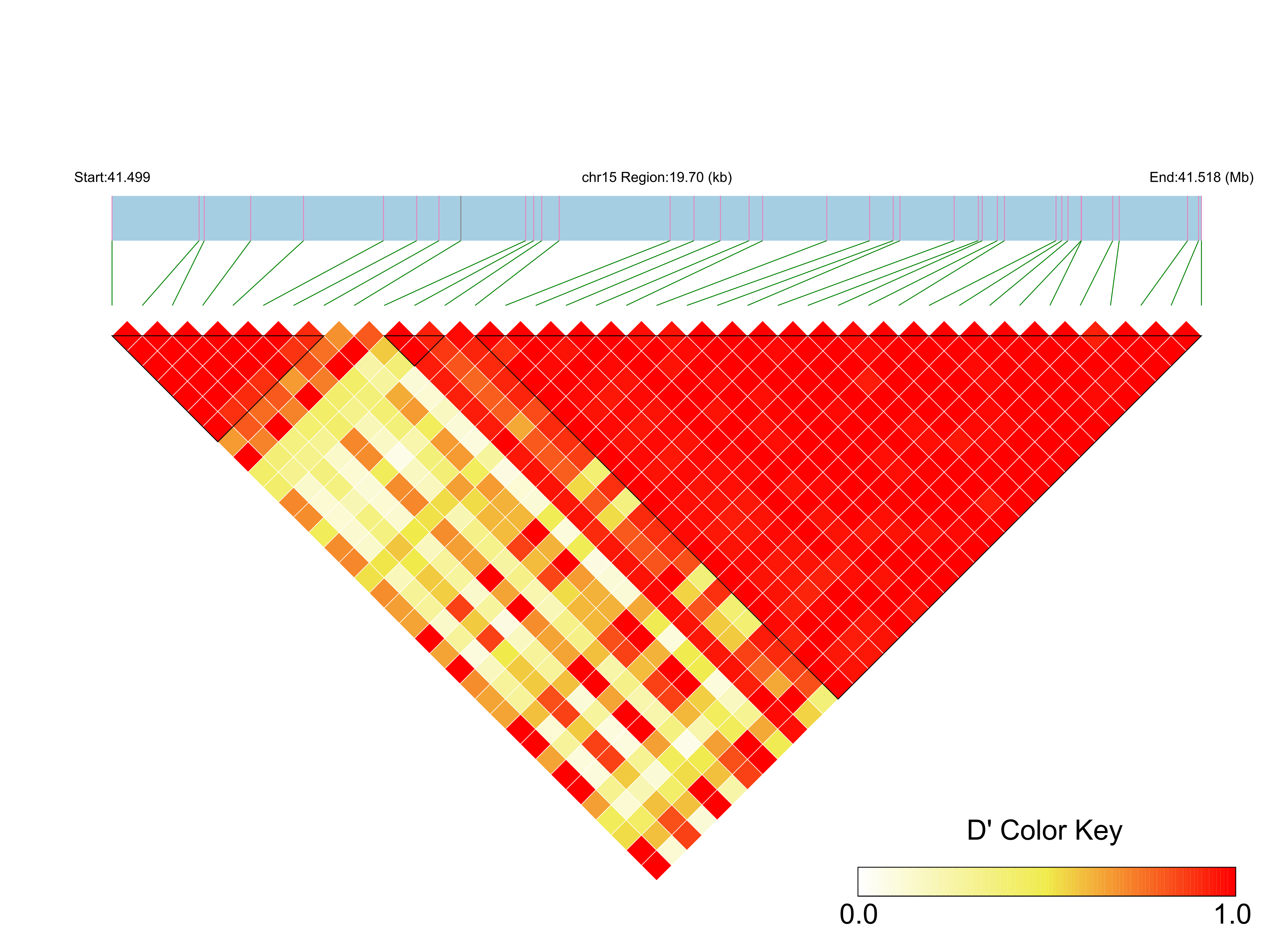 LD