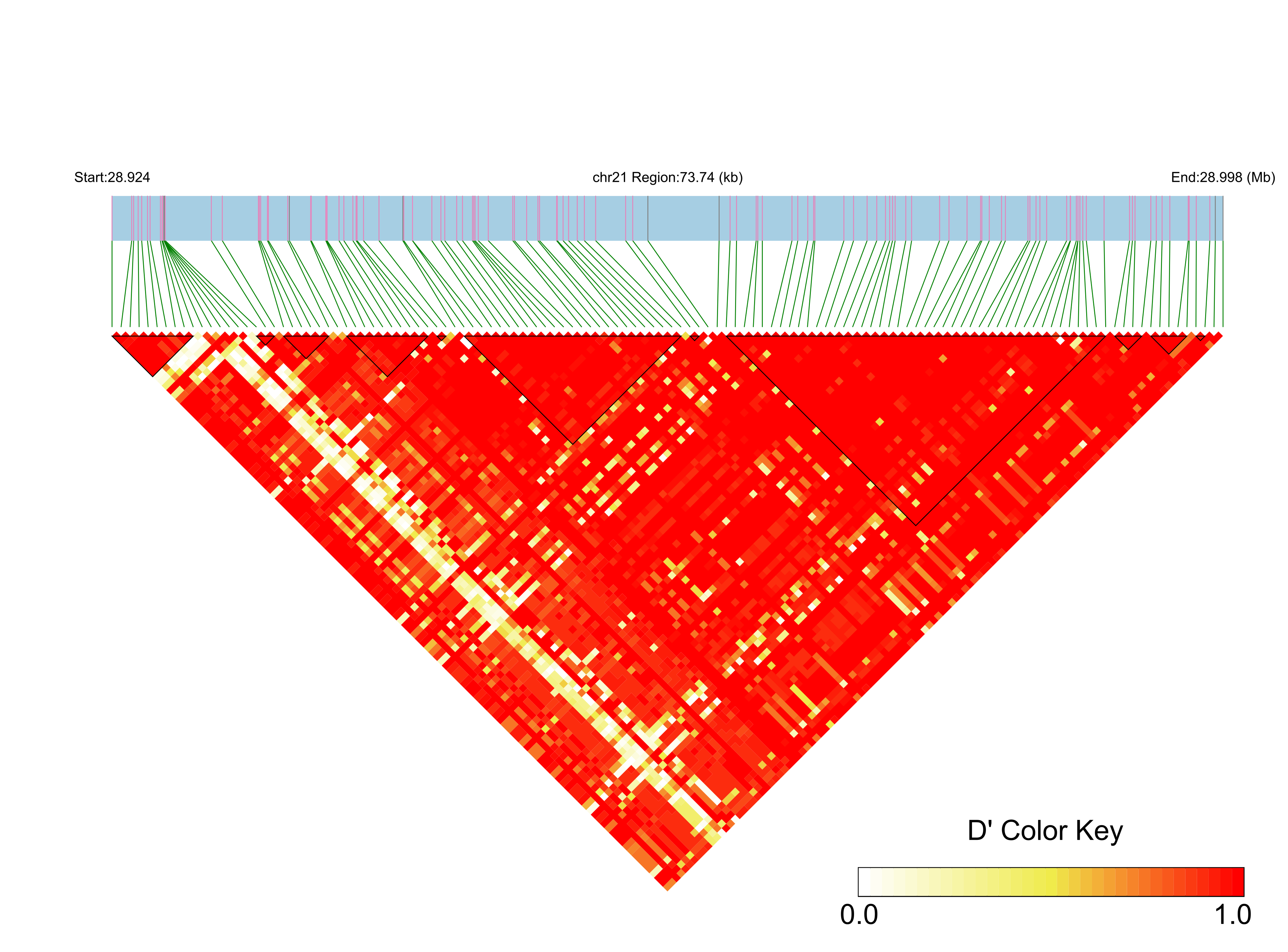 LD