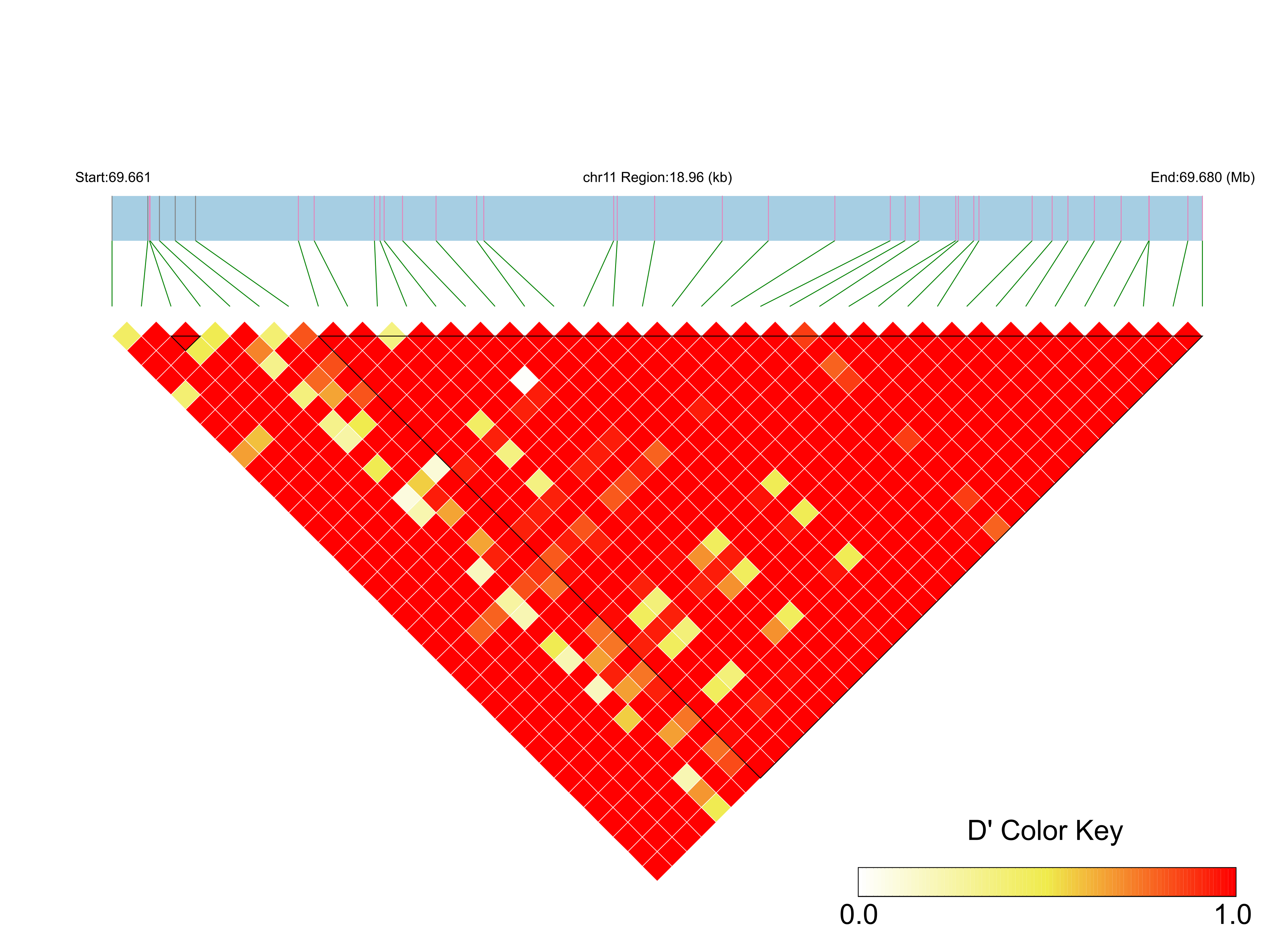 LD