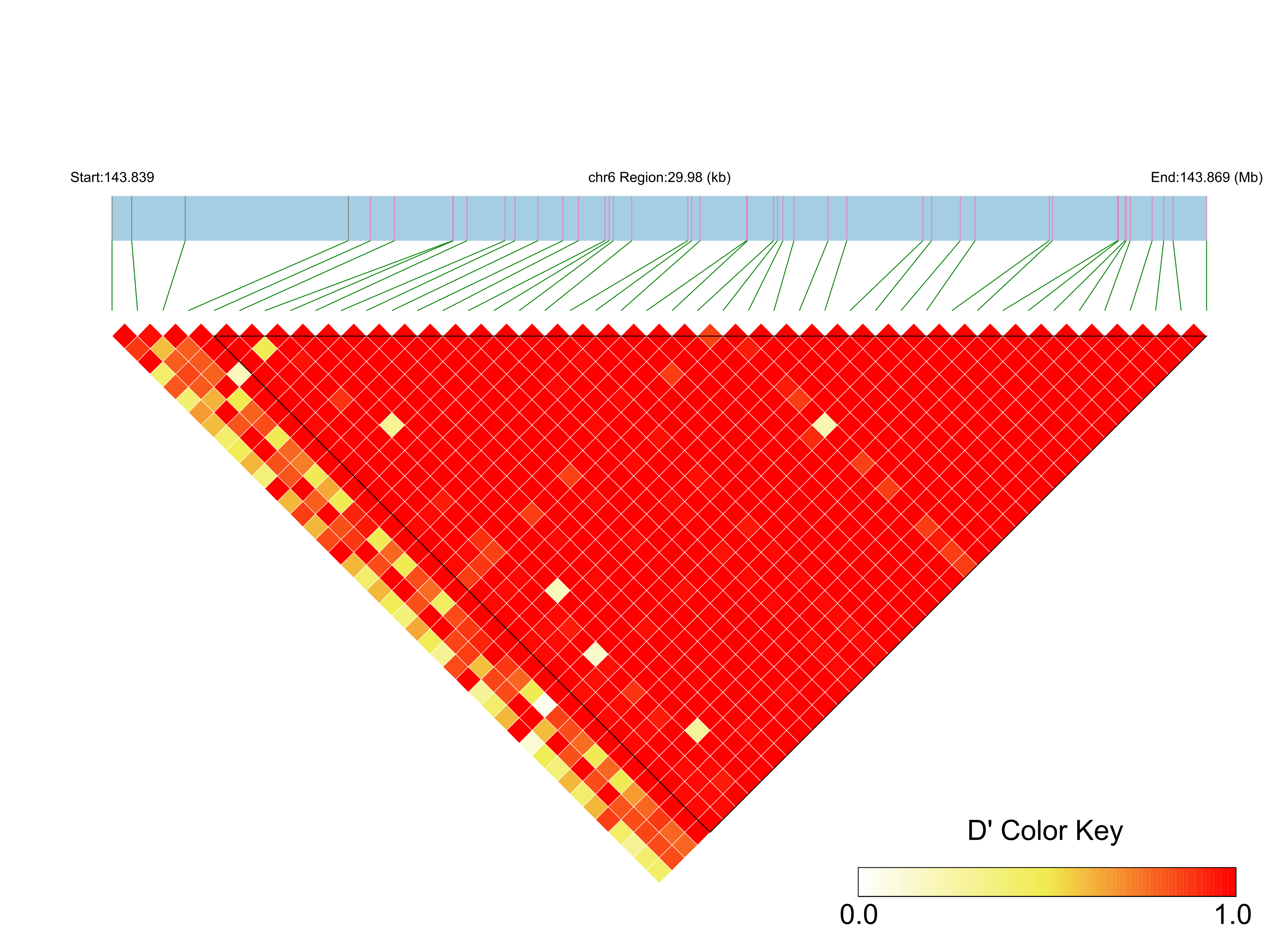 LD