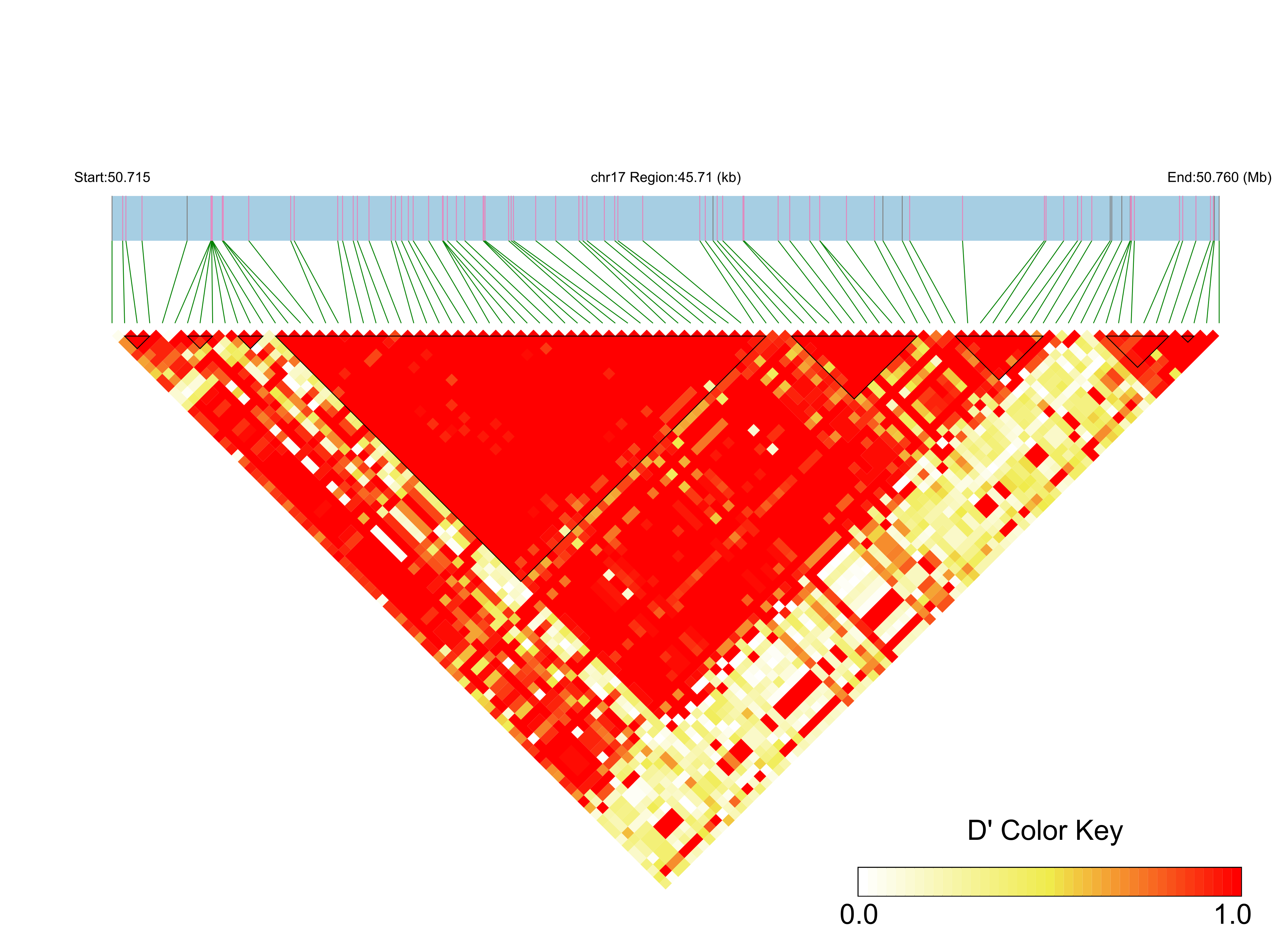 LD