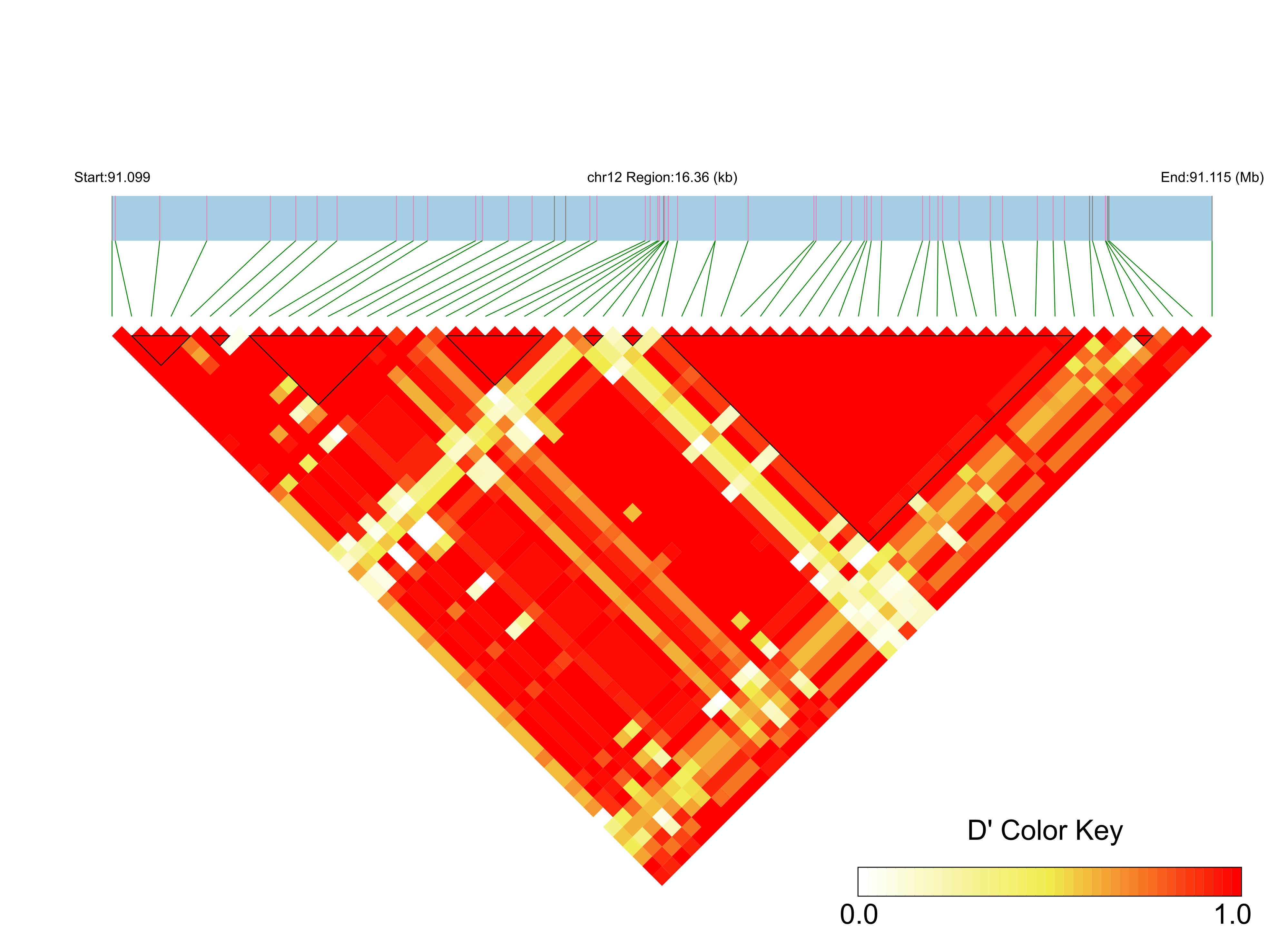 LD