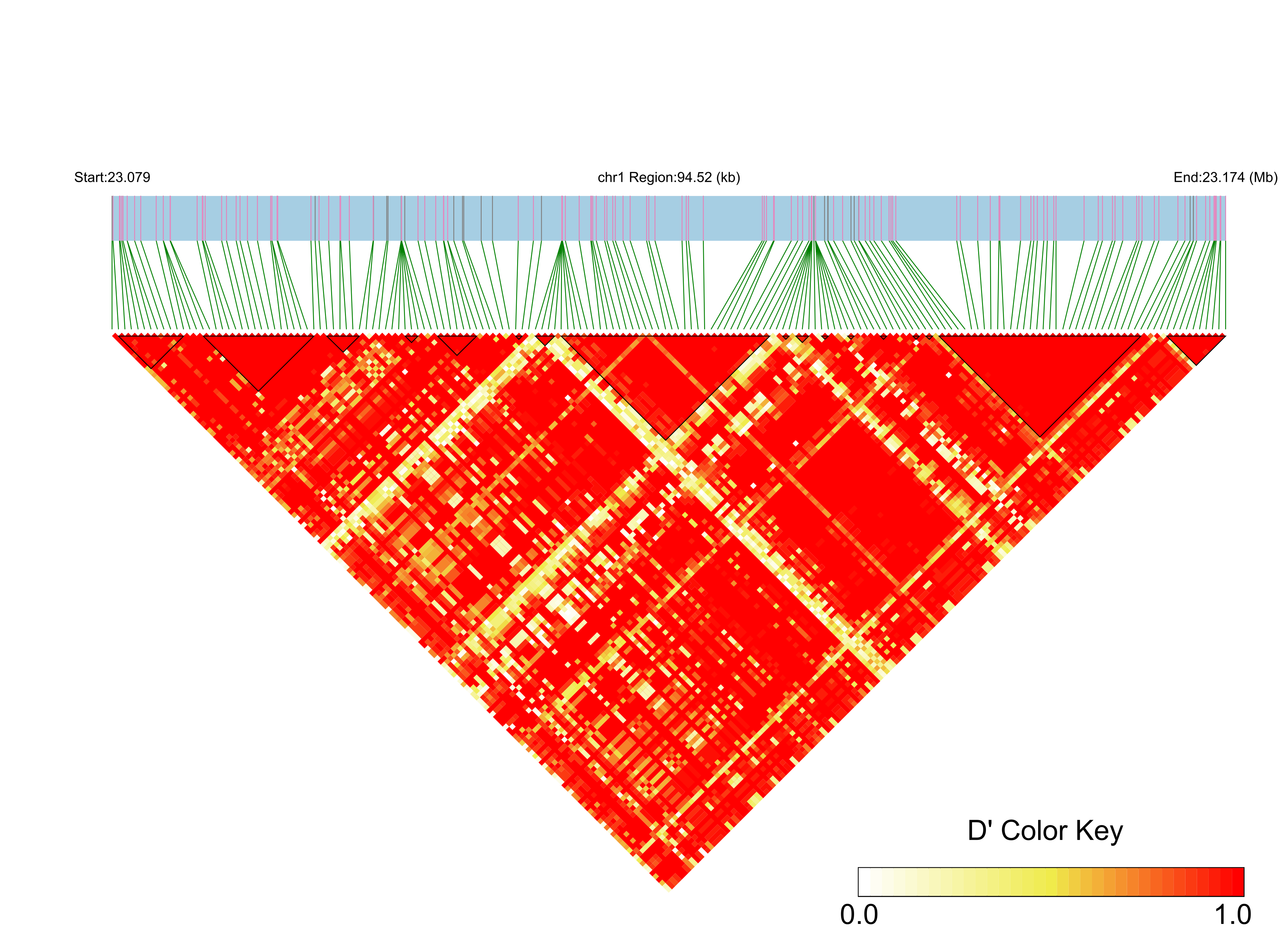 LD
