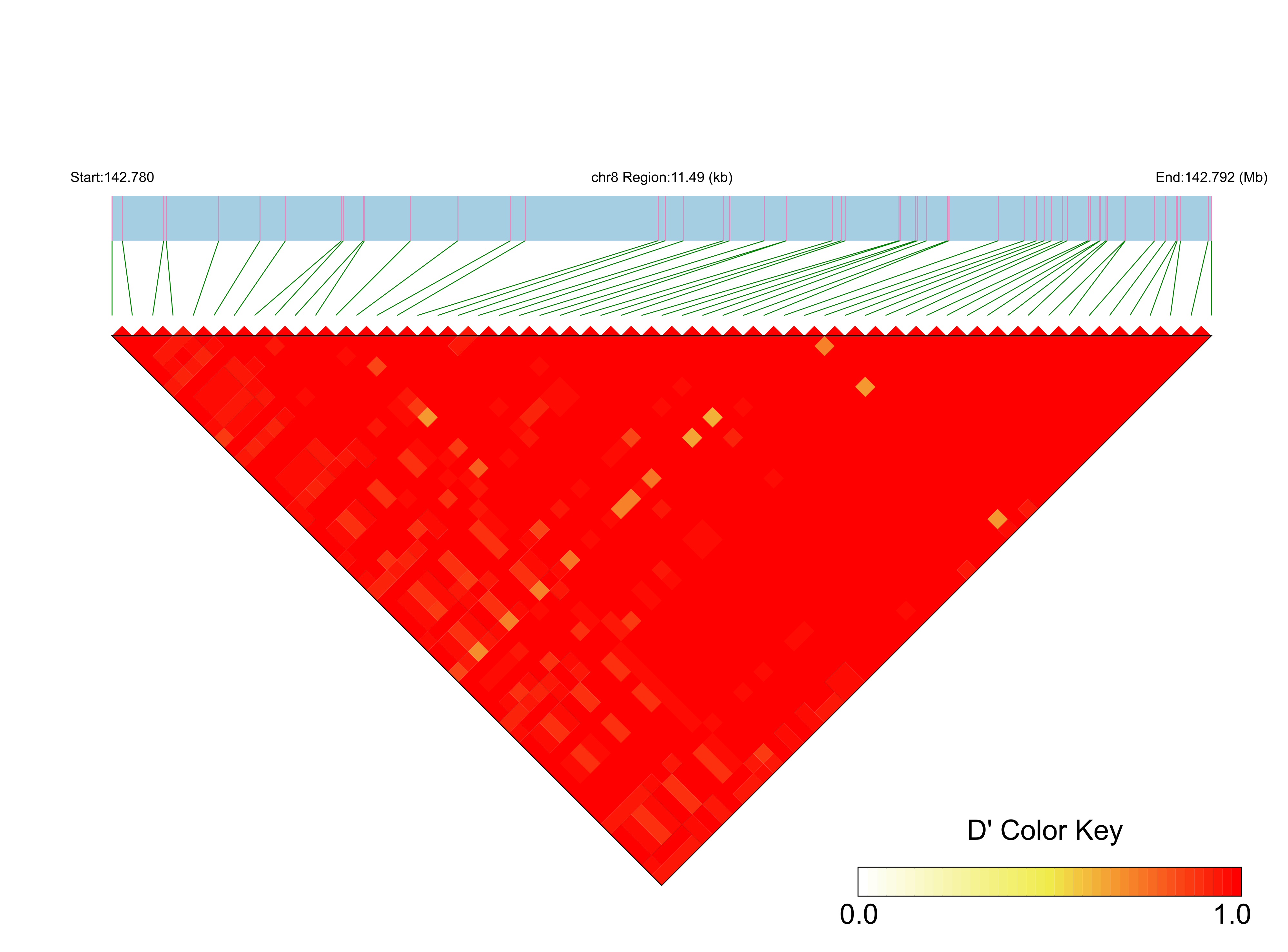 LD