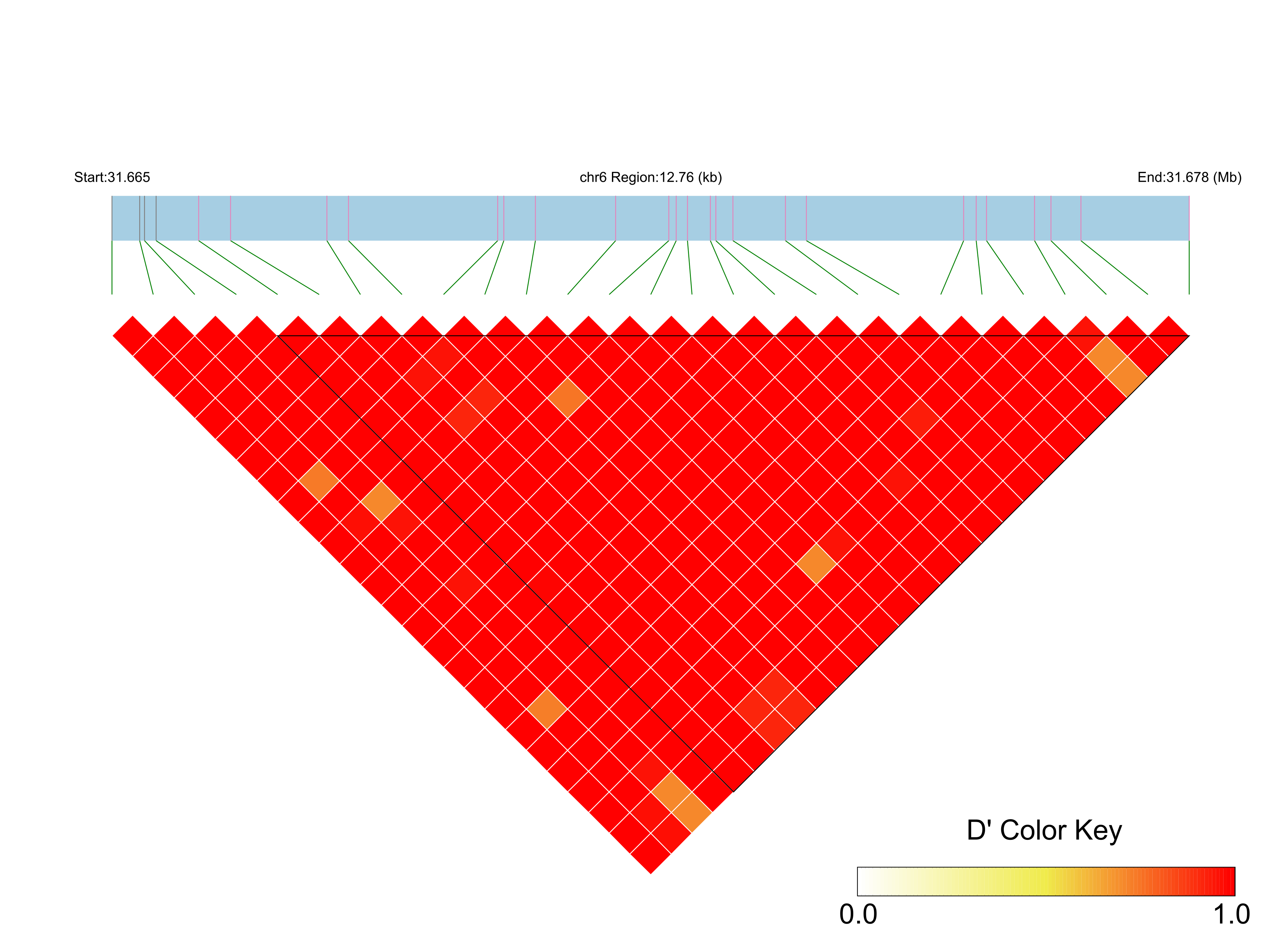 LD