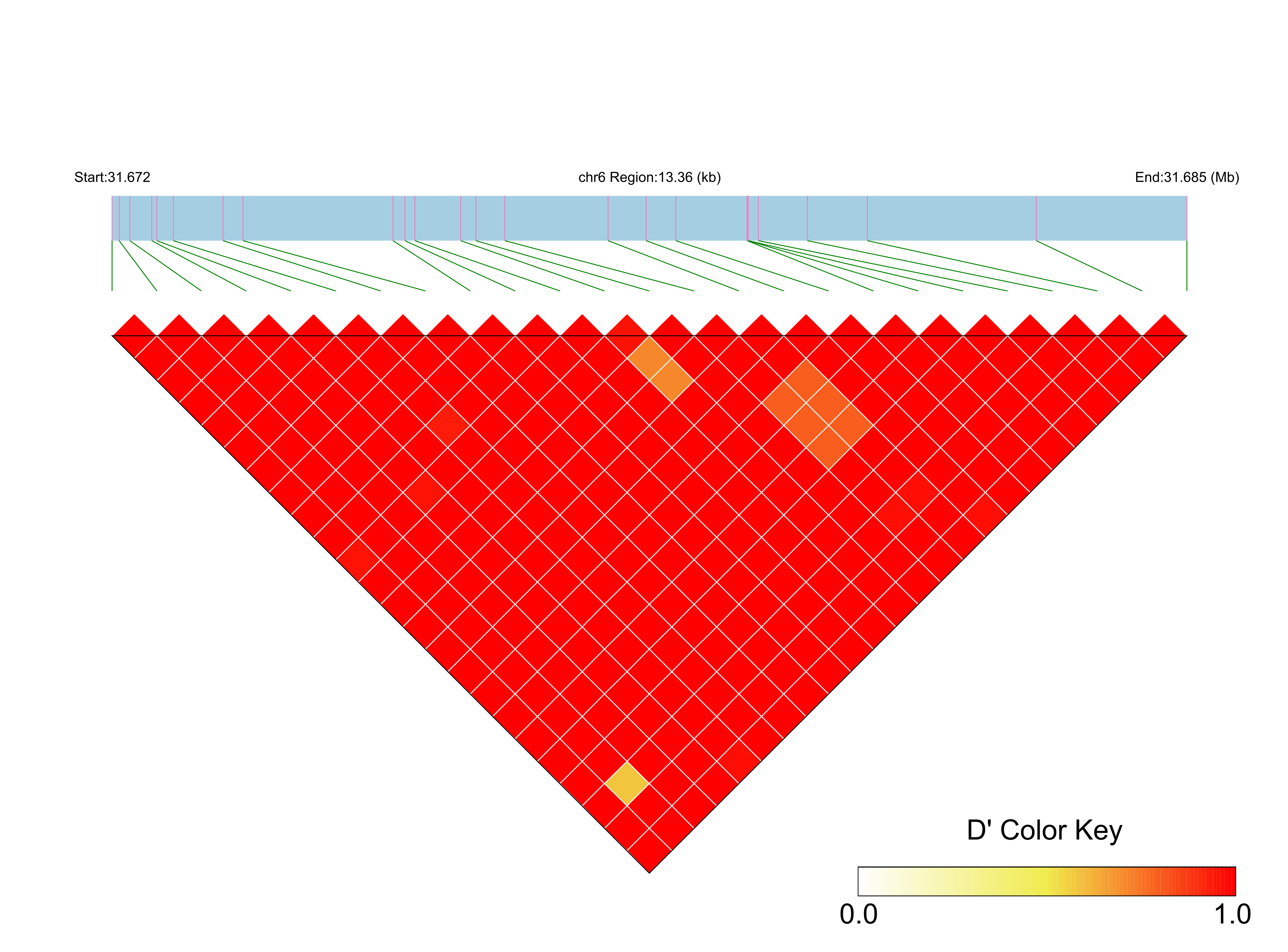 LD