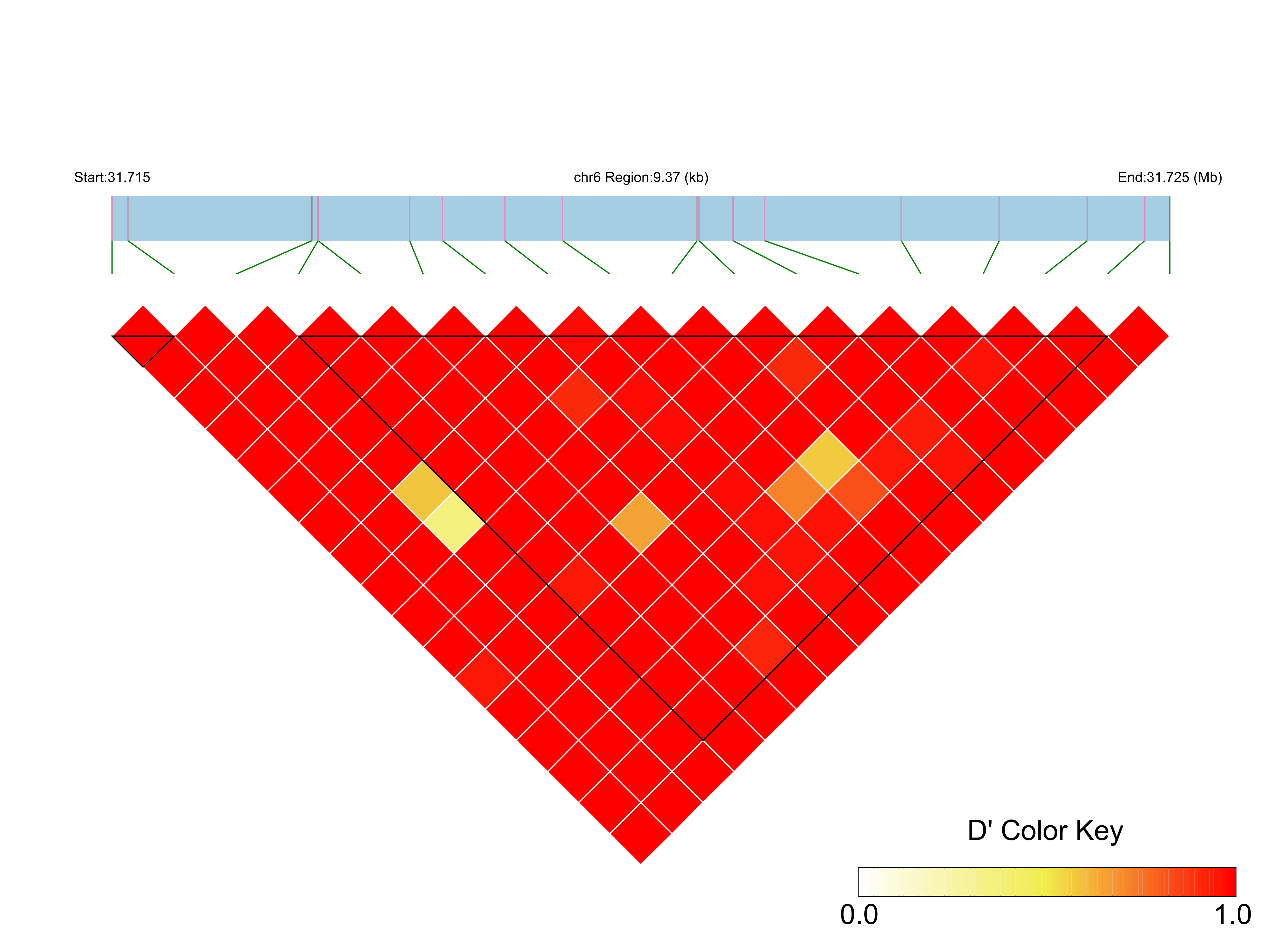 LD