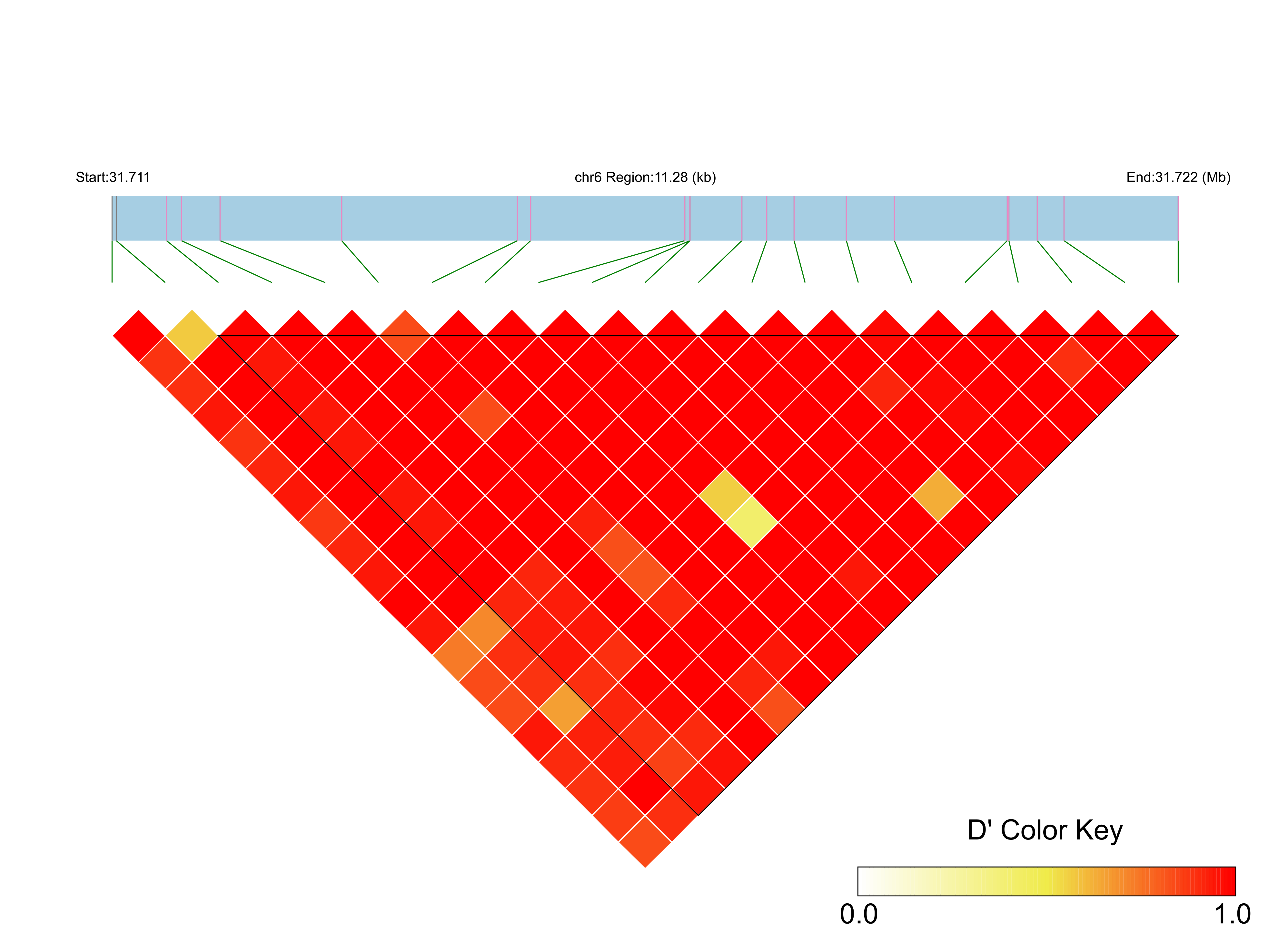 LD