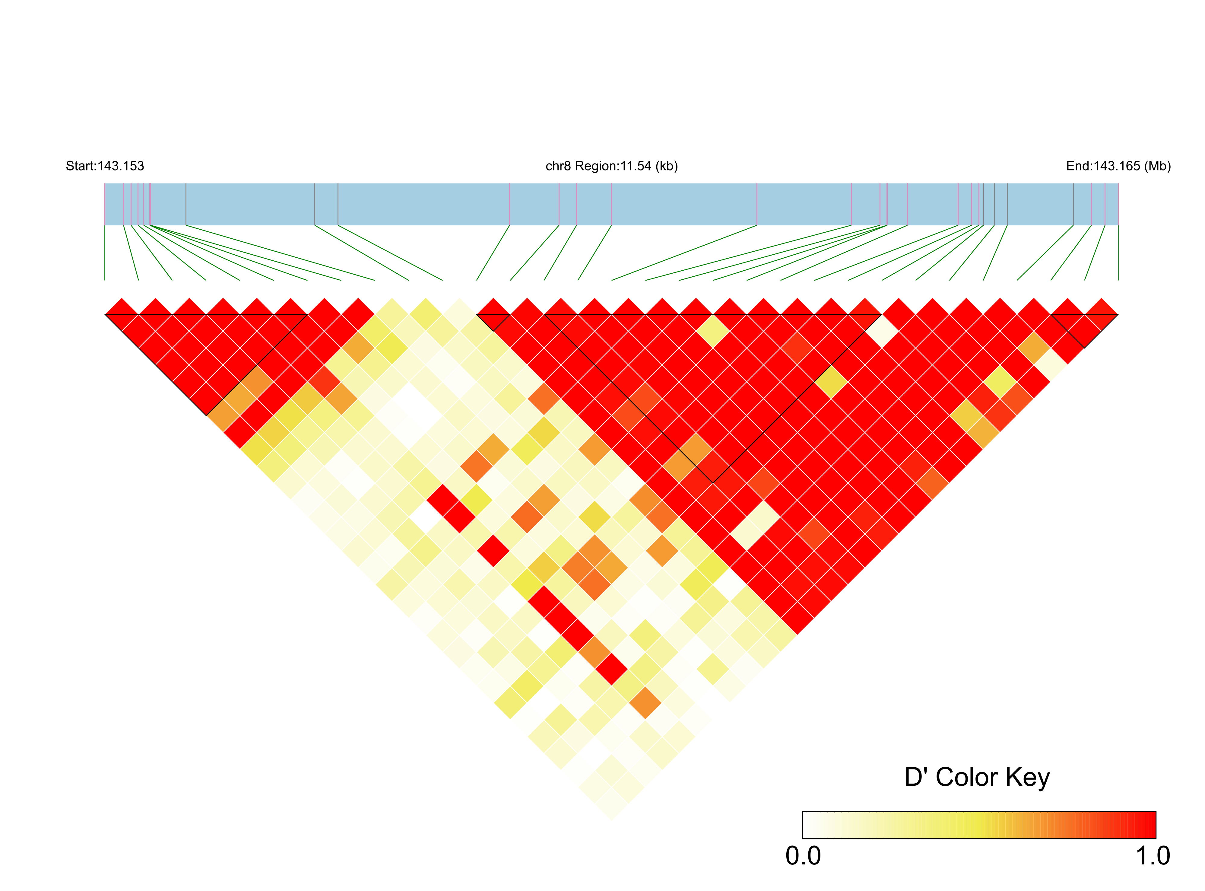 LD