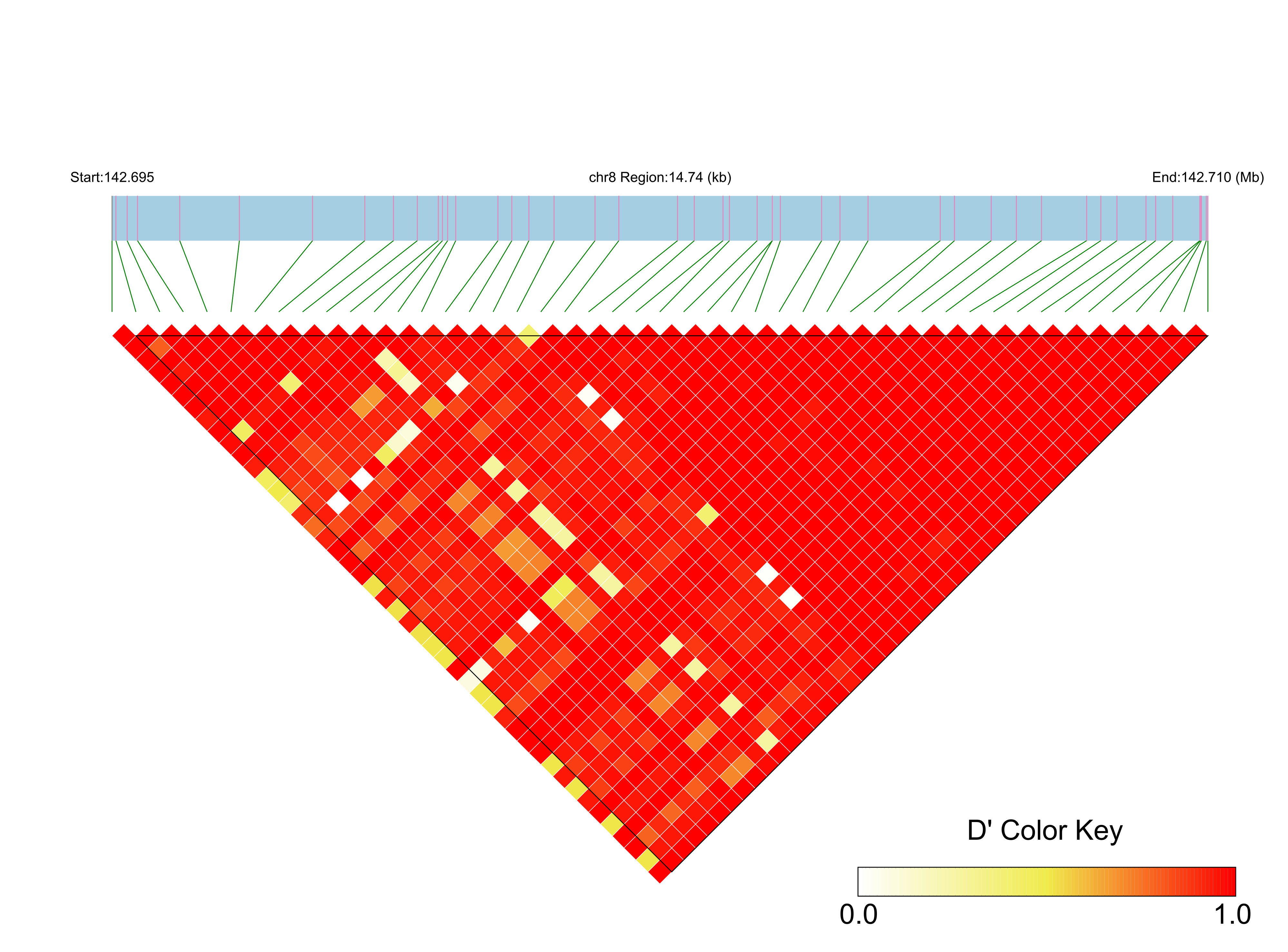 LD