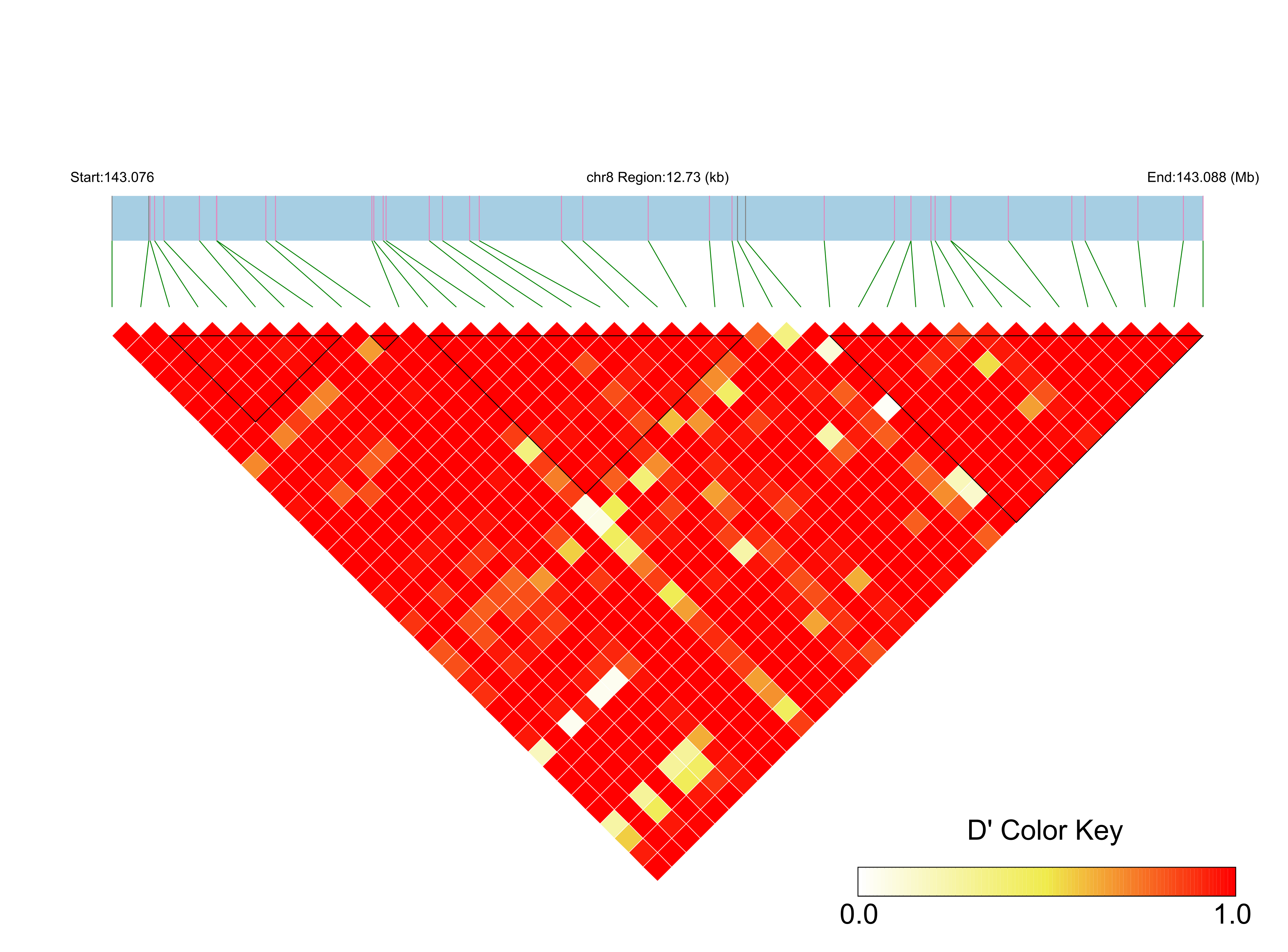 LD