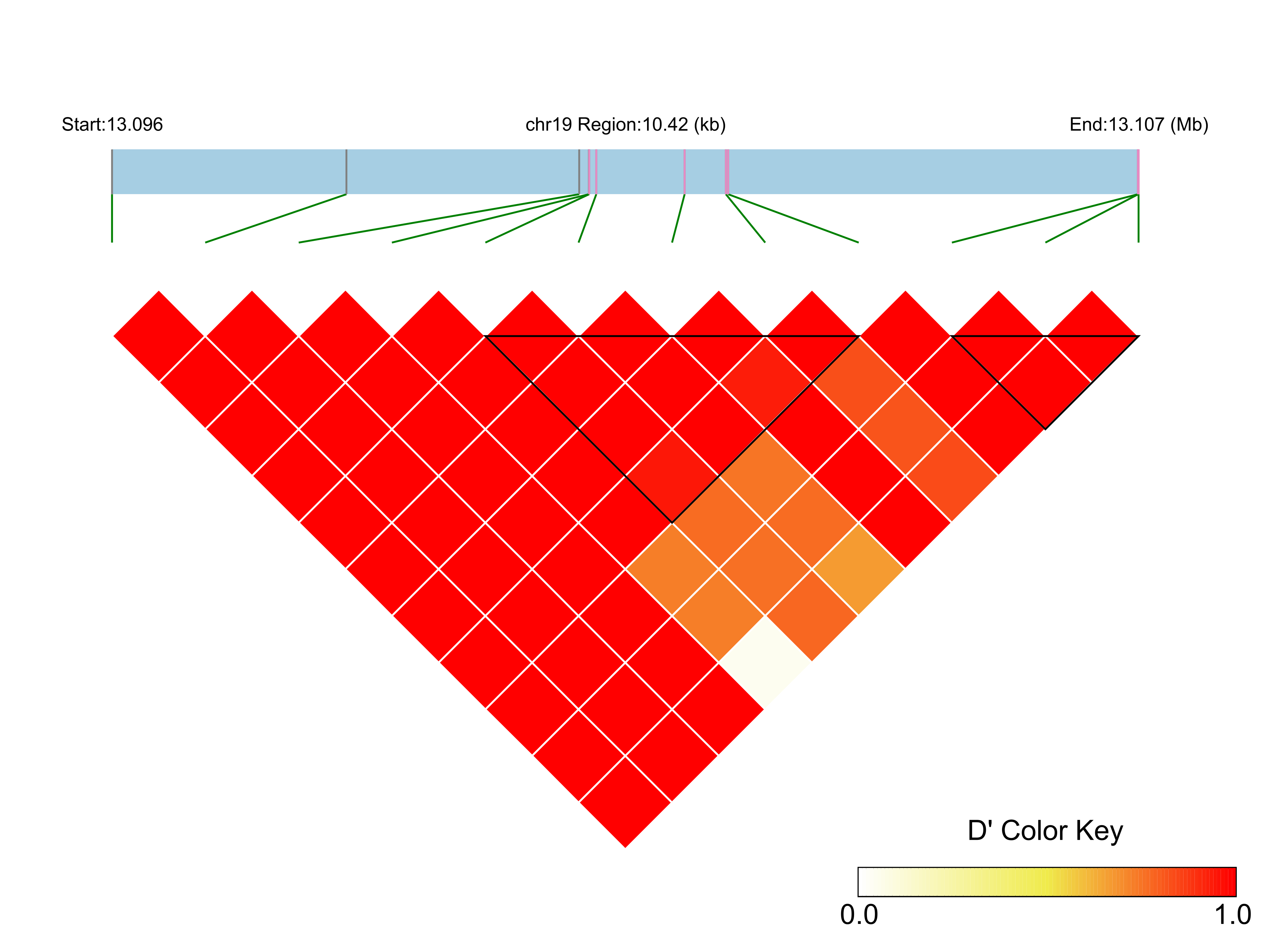 LD
