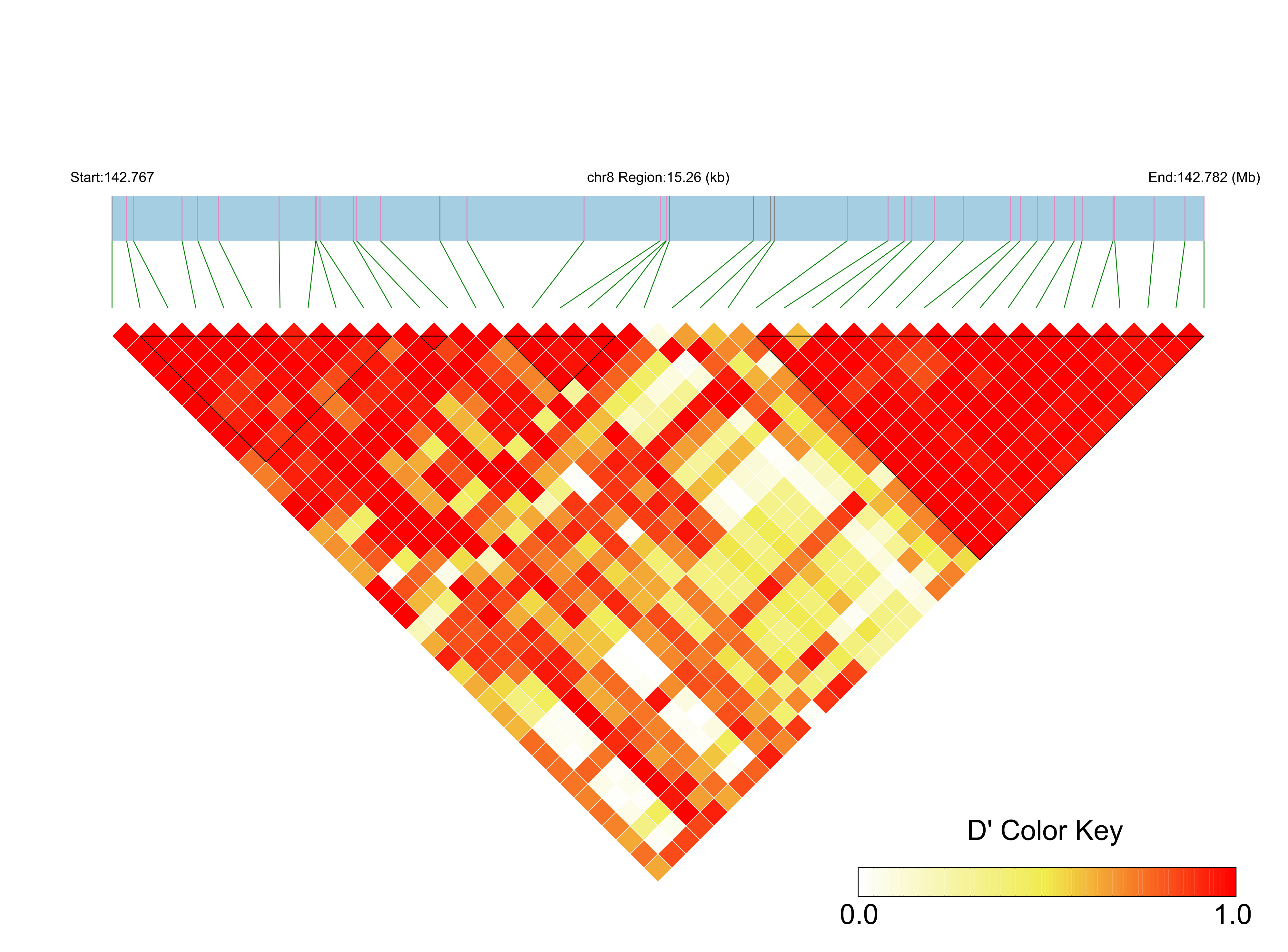 LD