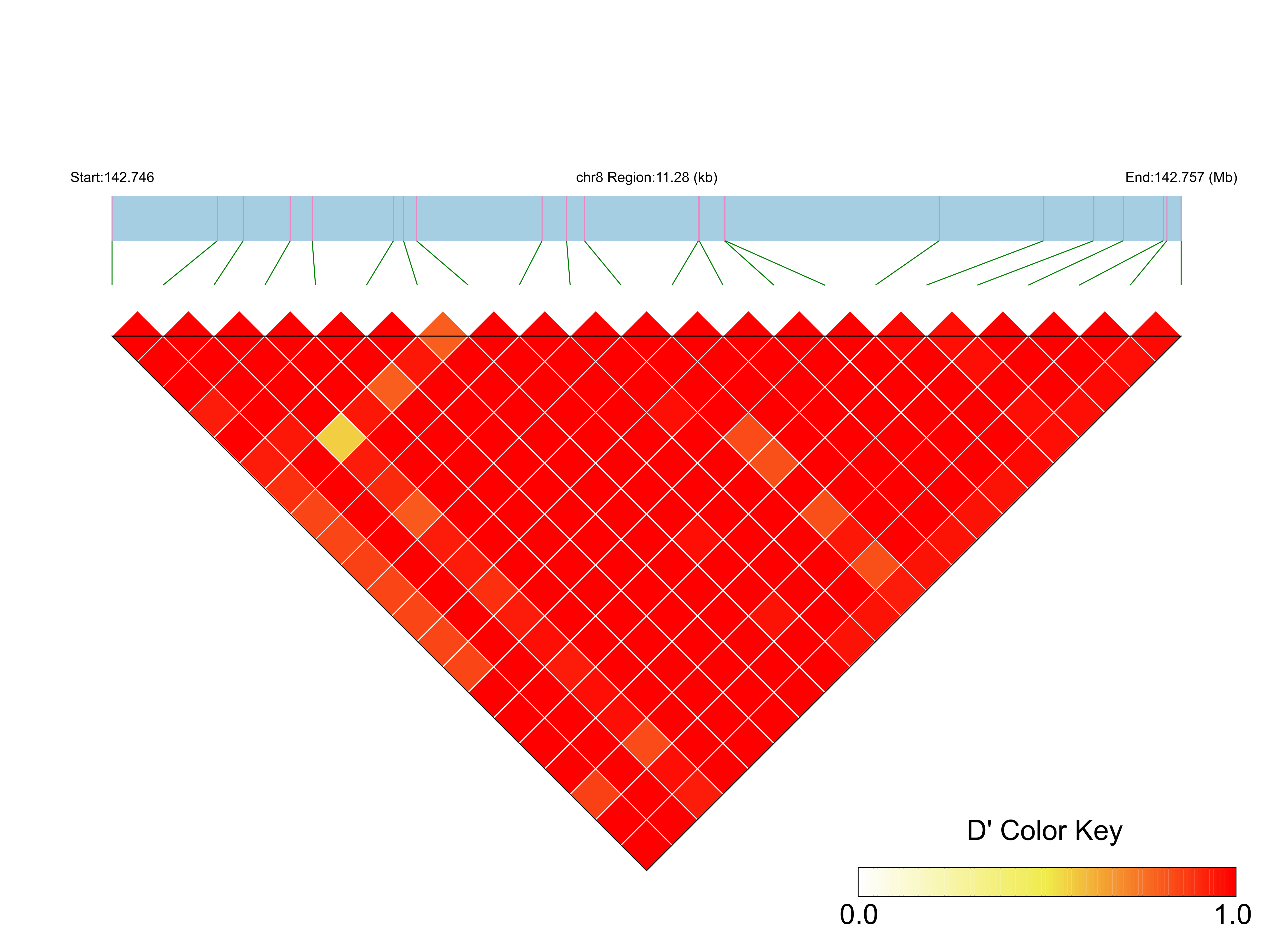 LD