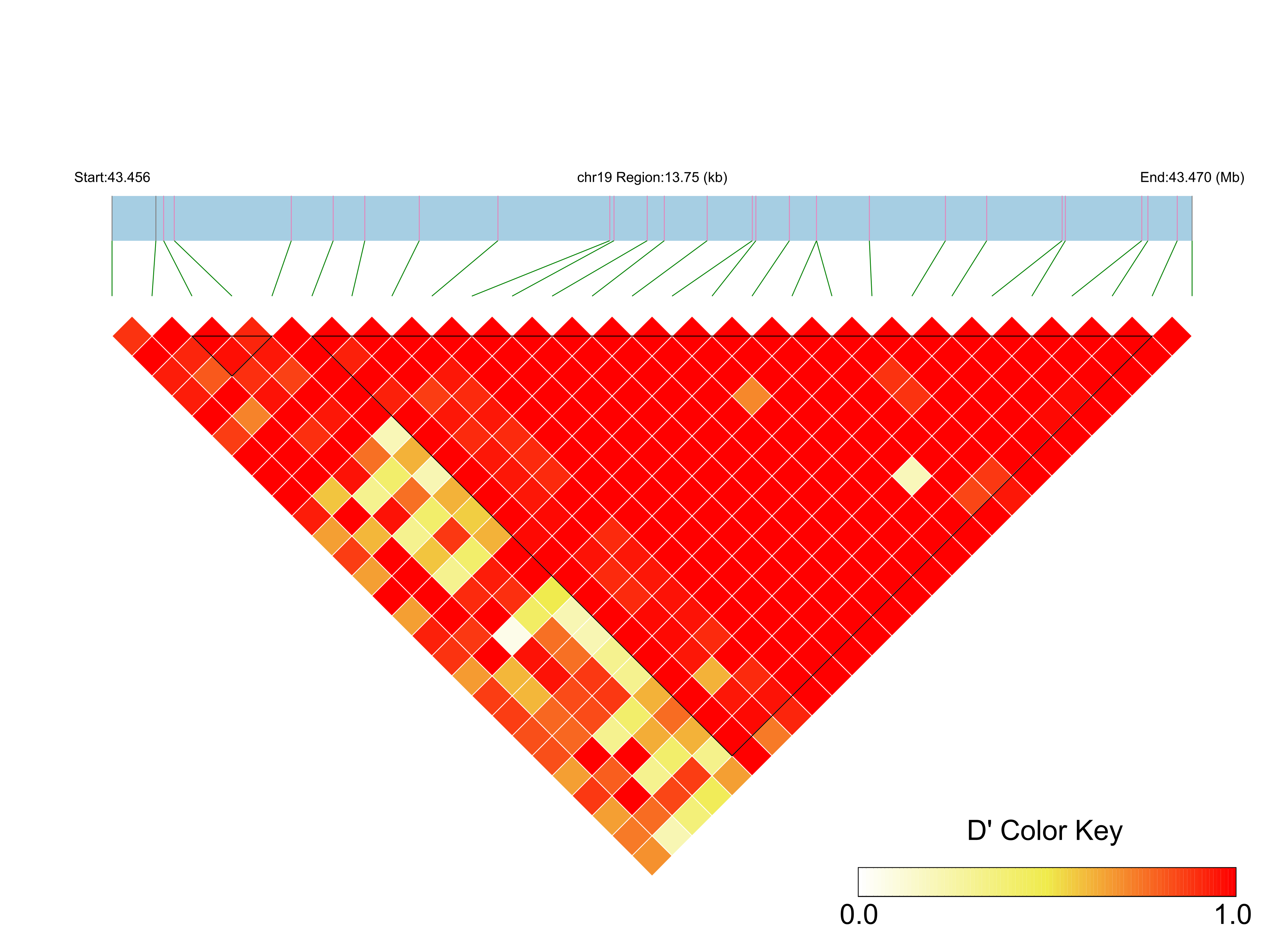 LD