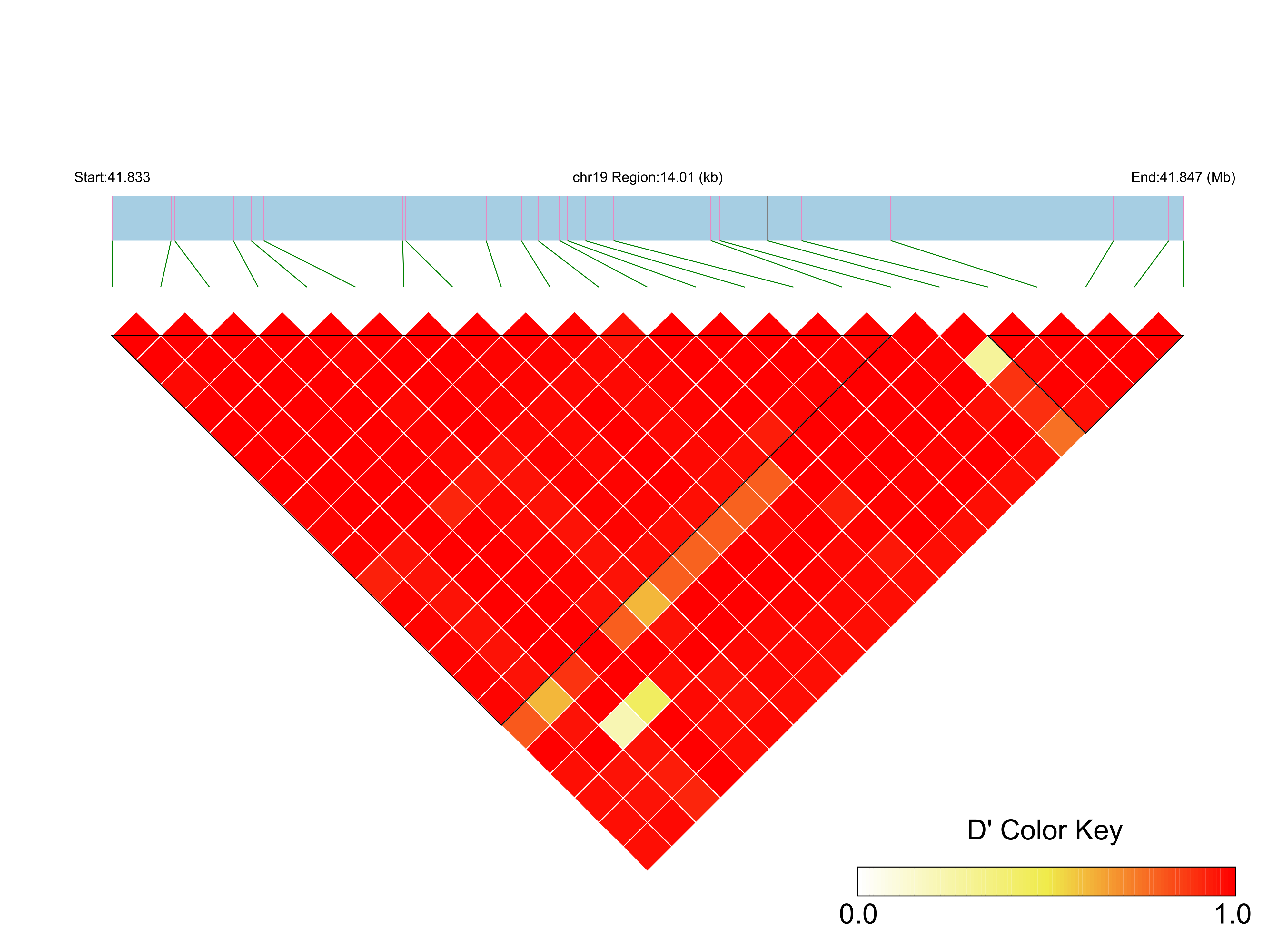LD