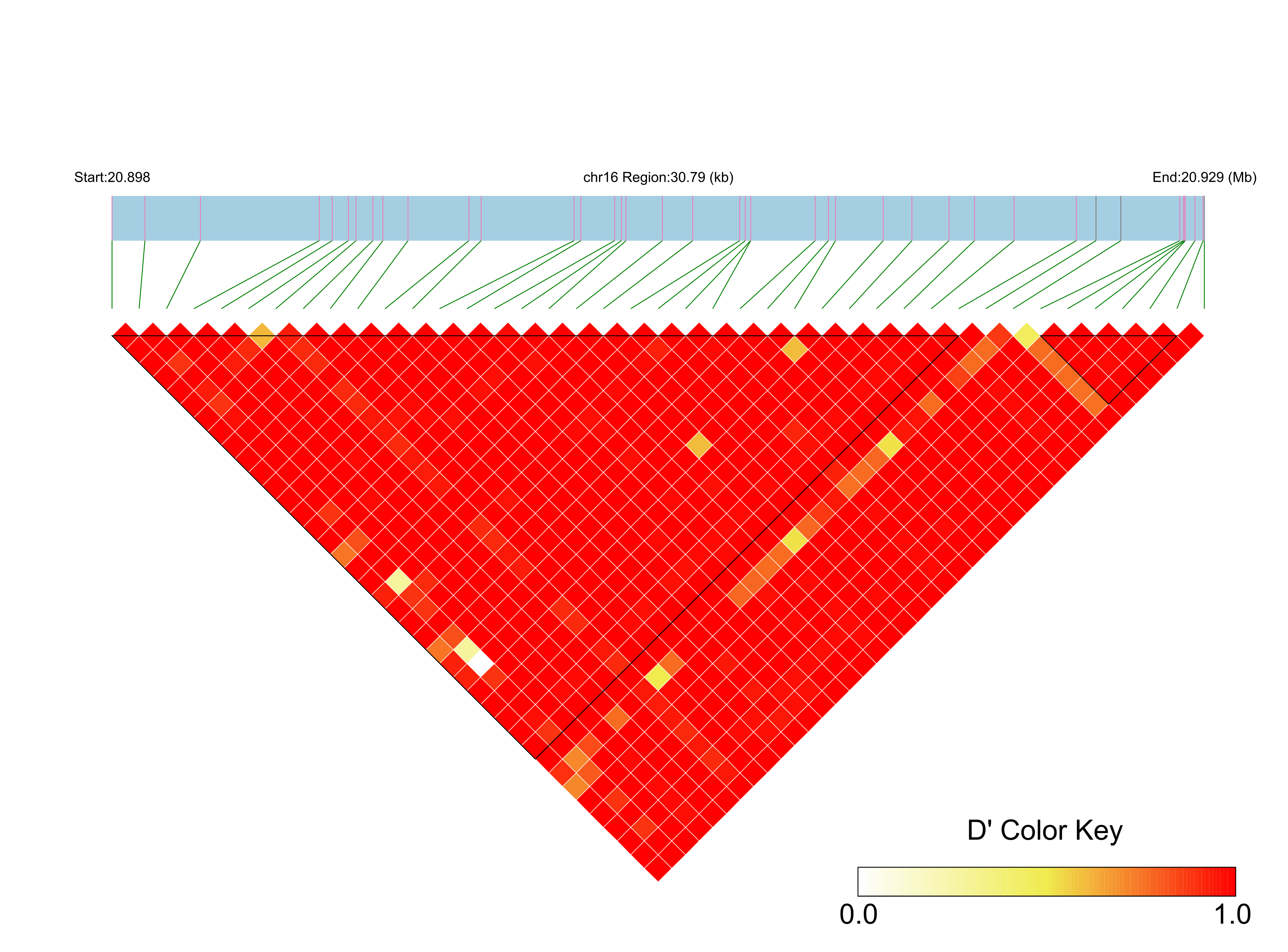 LD